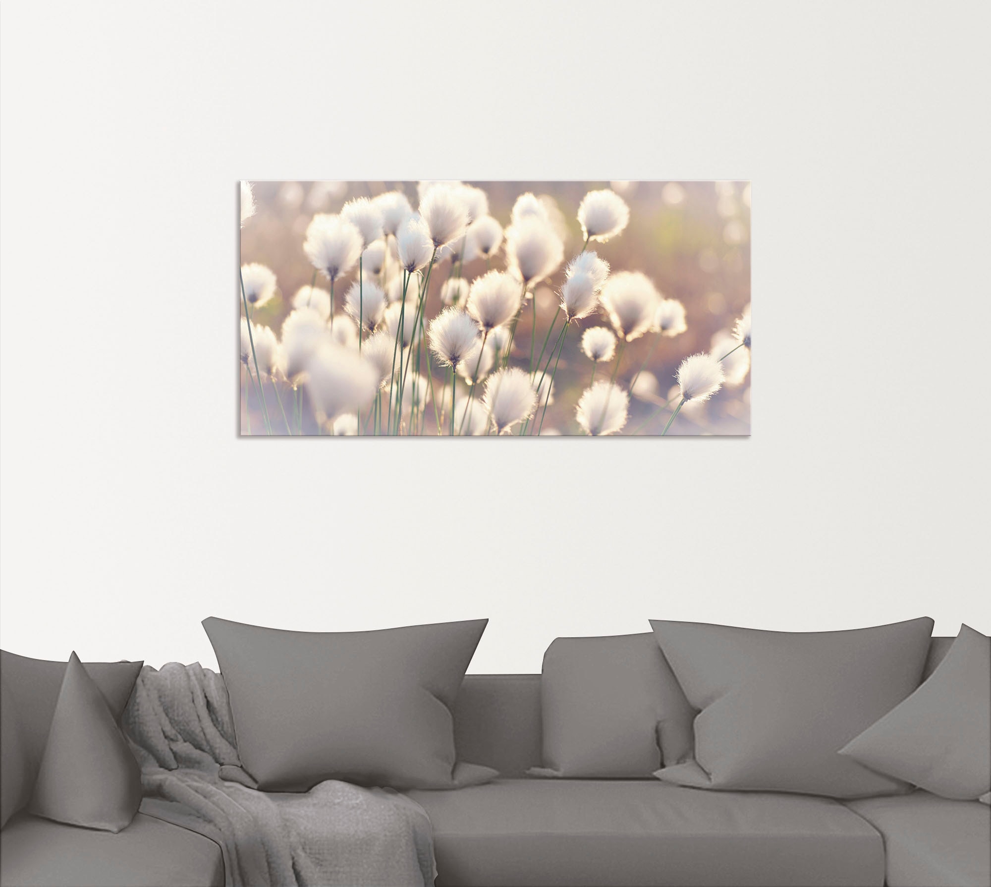 Artland Wandbild »Wollgraszauber im Moor«, Gräser, (1 St.), als Alubild, Outdoorbild, Leinwandbild, Poster, Wandaufkleber