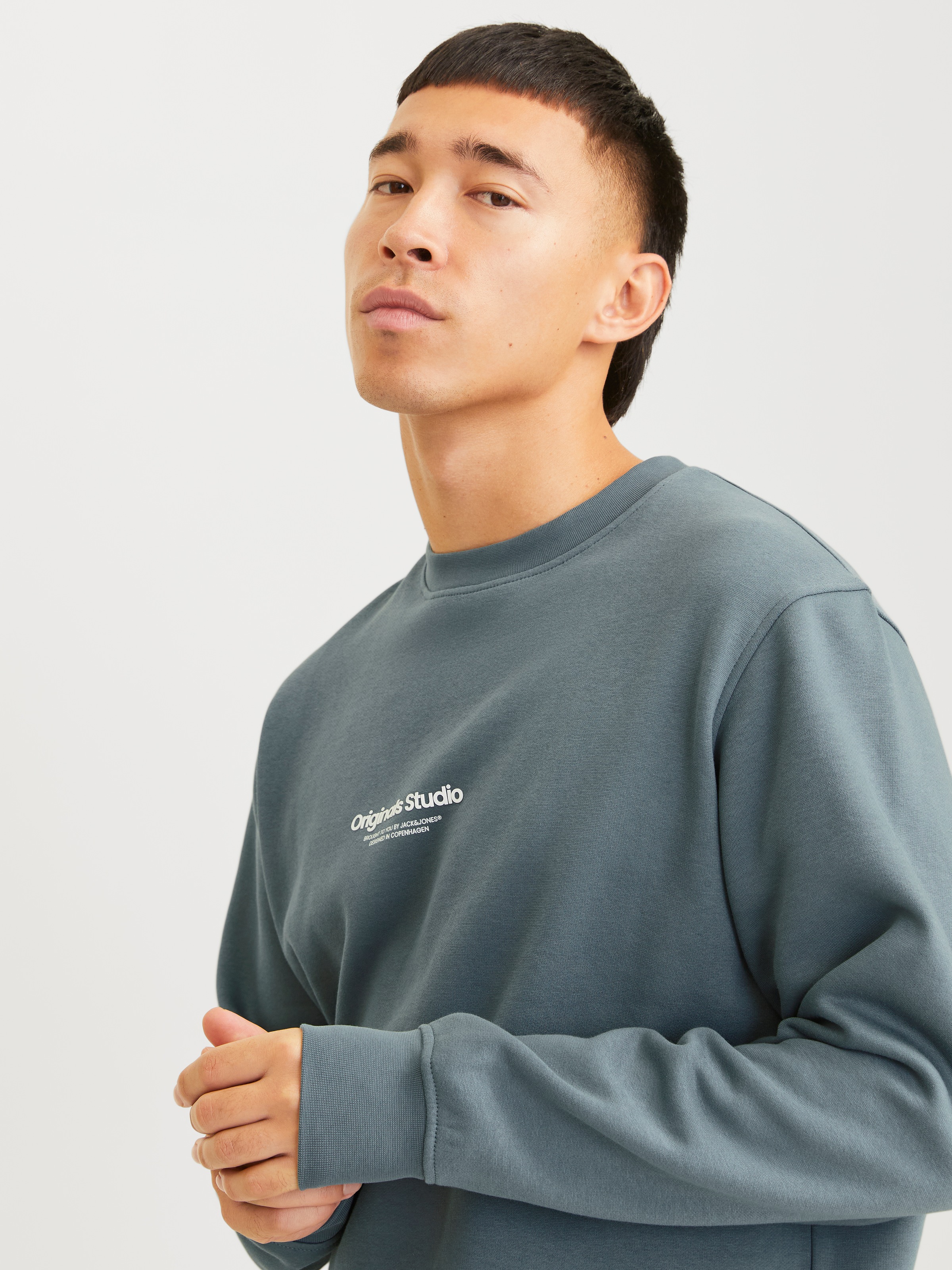 Jack & Jones Sweatshirt »JORVESTERBRO SWEAT CREW NECK NOOS«