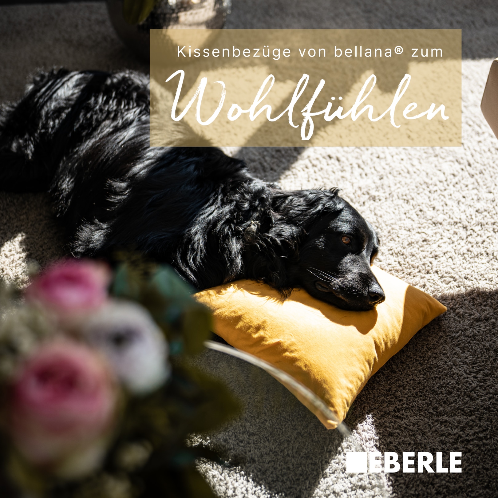 bellana Kissenbezug »Mako-Jersey-Exclusiv« aus reiner Baumwolle