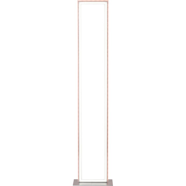 my home LED Stehlampe »Luan«, 2 flammig-flammig, Downlight: 2700-5000K,  Sidelight: Rainbow-RGB, Infrarot-Fernbed. inkl. online kaufen | mit 3  Jahren XXL Garantie