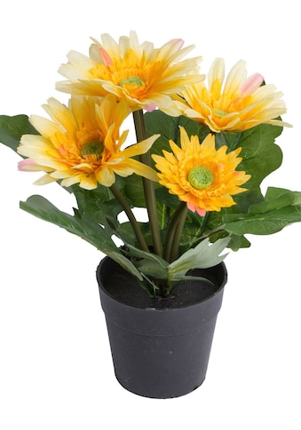 Kunstblume »Gerbera mit 5 Blüten«