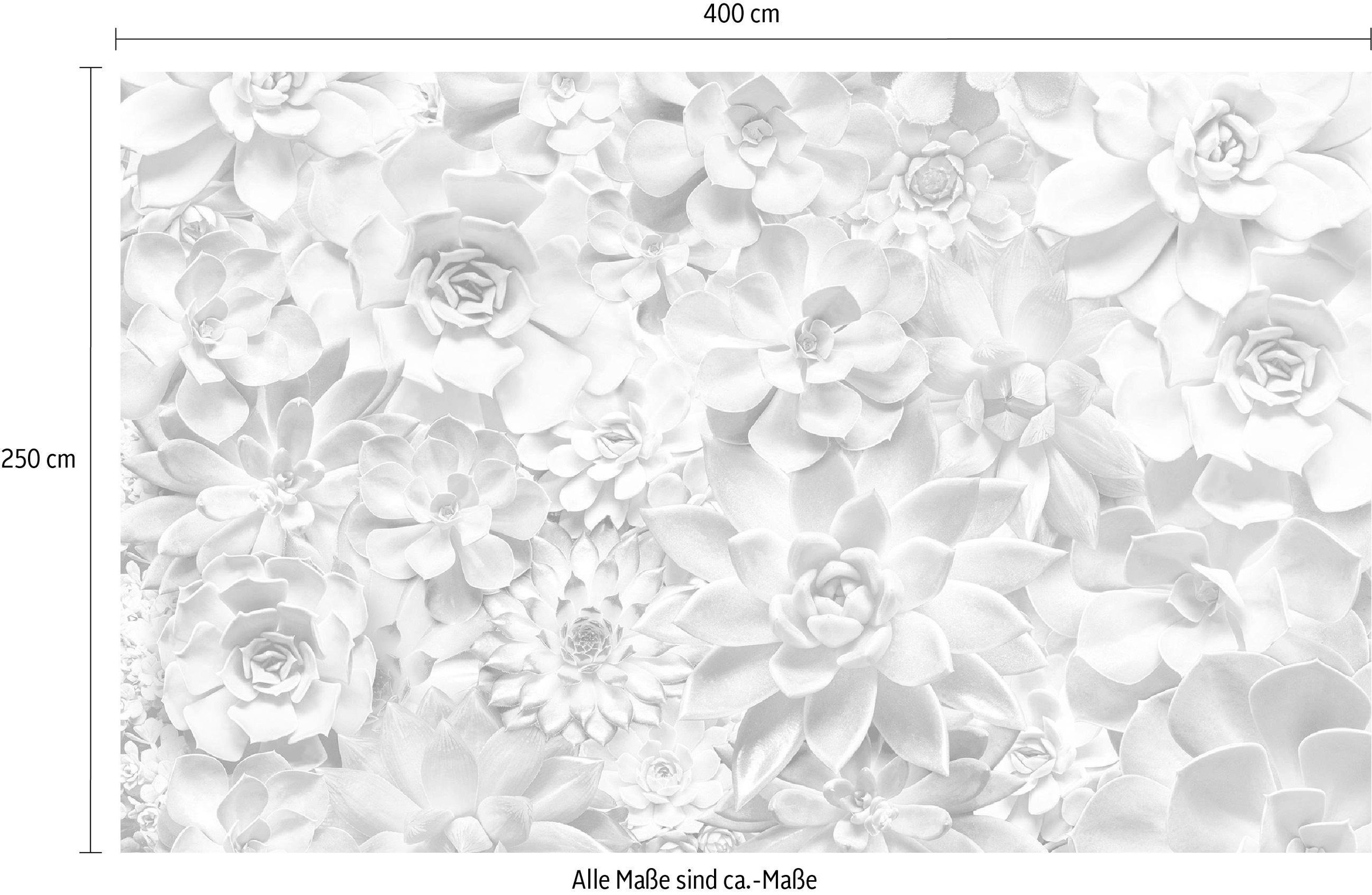 Komar Vliestapete »Digitaldruck Vlies -  Shades Black and White - Größe 400 x 250 cm« bedruckt glatt Wohnzimmer, Schlafzimmer