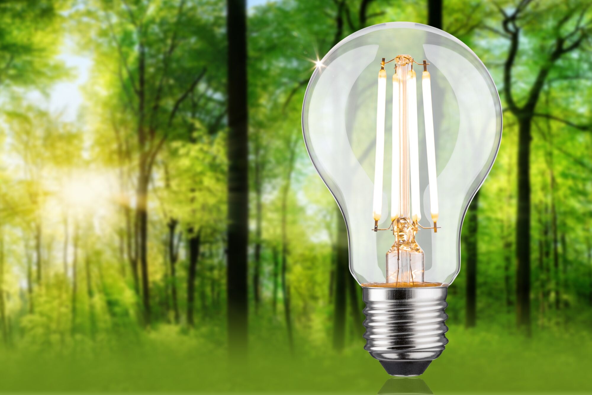 Paulmann LED-Leuchtmittel »Eco-Line Filament 230V LED Birne E27 1521lm 8,2W 3000K dimmbar Klar« E27 1 Stk. Warmweiß