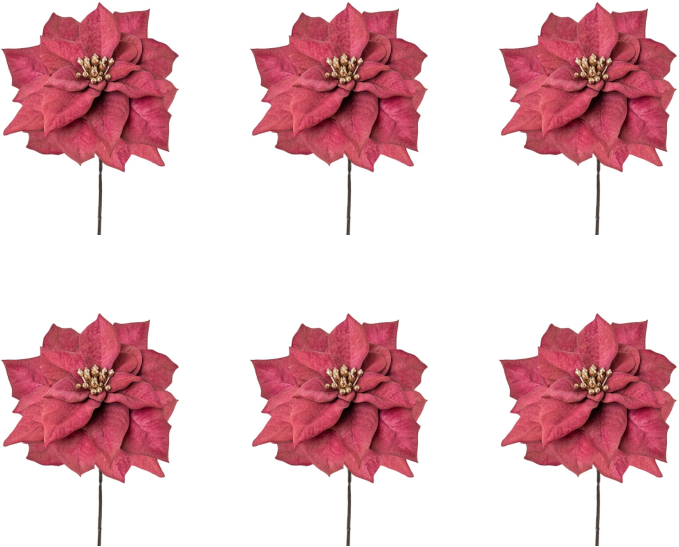 Creativ green Winterliche Kunstpflanze »Weihnachtsdeko bestellen goldfarbenfarbenem mit rot«, 6er-Set Blütenkelch, bequem