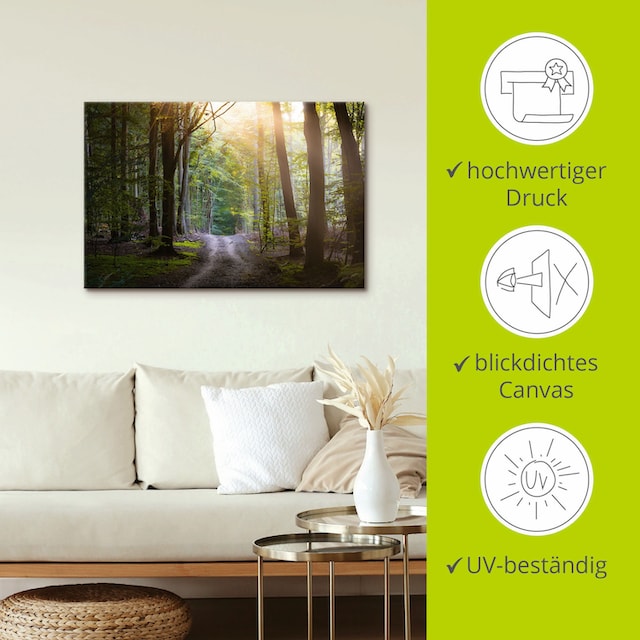 Artland Wandbild »Waldweg im Licht«, Waldbilder, (1 St.), als Alubild,  Leinwandbild, Wandaufkleber oder Poster in versch. Größen auf Raten  bestellen