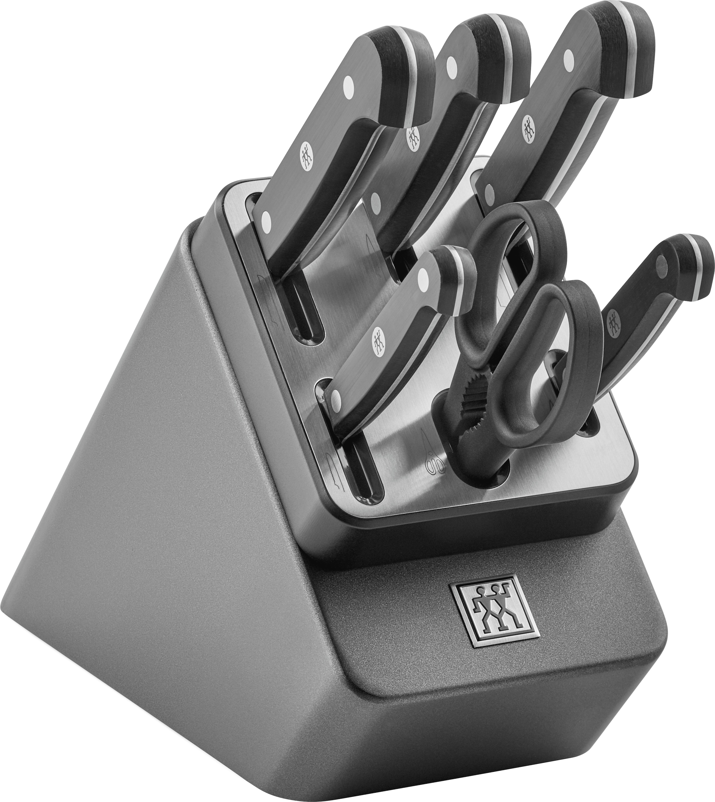 Set Di Coltelli Zwilling Gourmet Affilatura Automatica 5 Pezzi Forbici