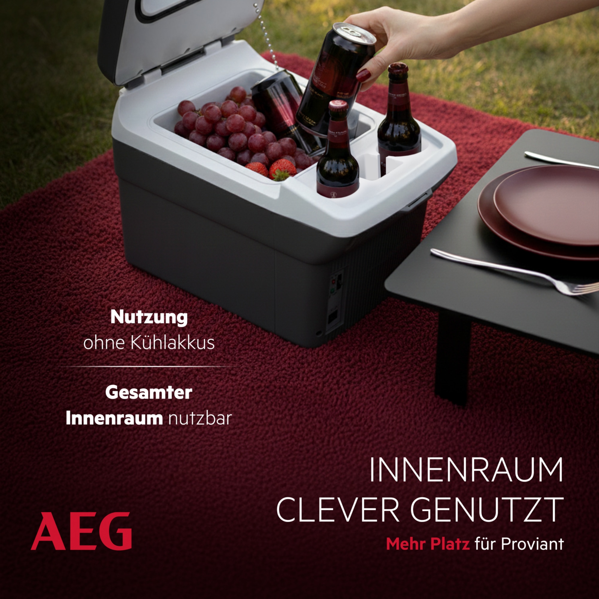 AEG Elektrische Kühlbox »Bordbar BK16 (10694)«