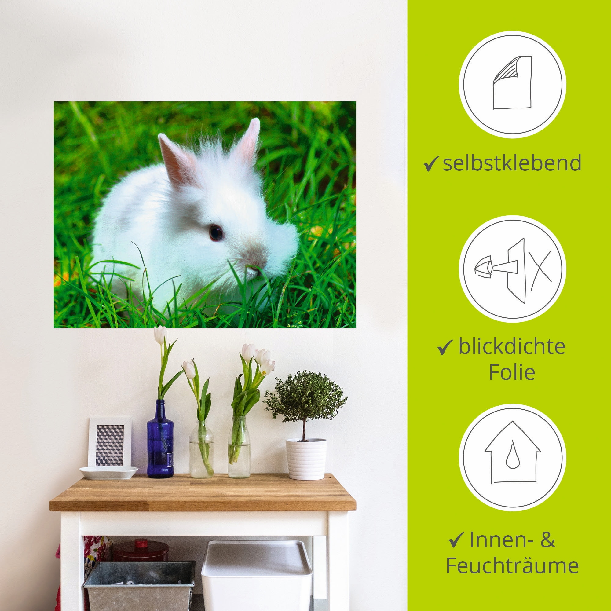 Artland Wandbild »Weißes Zwergkaninchen Baby«, Wildtiere, (1 St.), als Poster, Wandaufkleber in verschied. Größen
