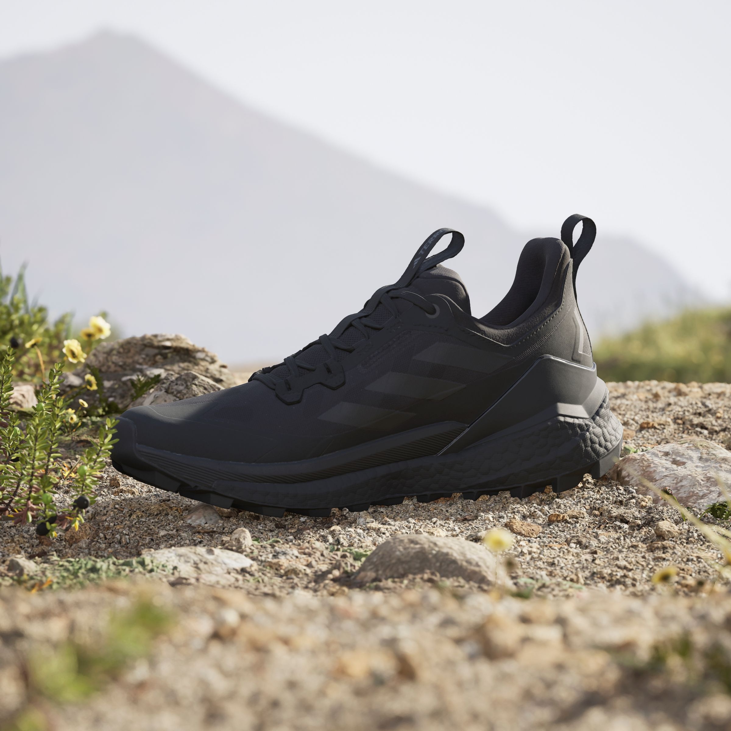adidas TERREX Wanderschuh »TERREX FREE HIKER 2.0 LOW«