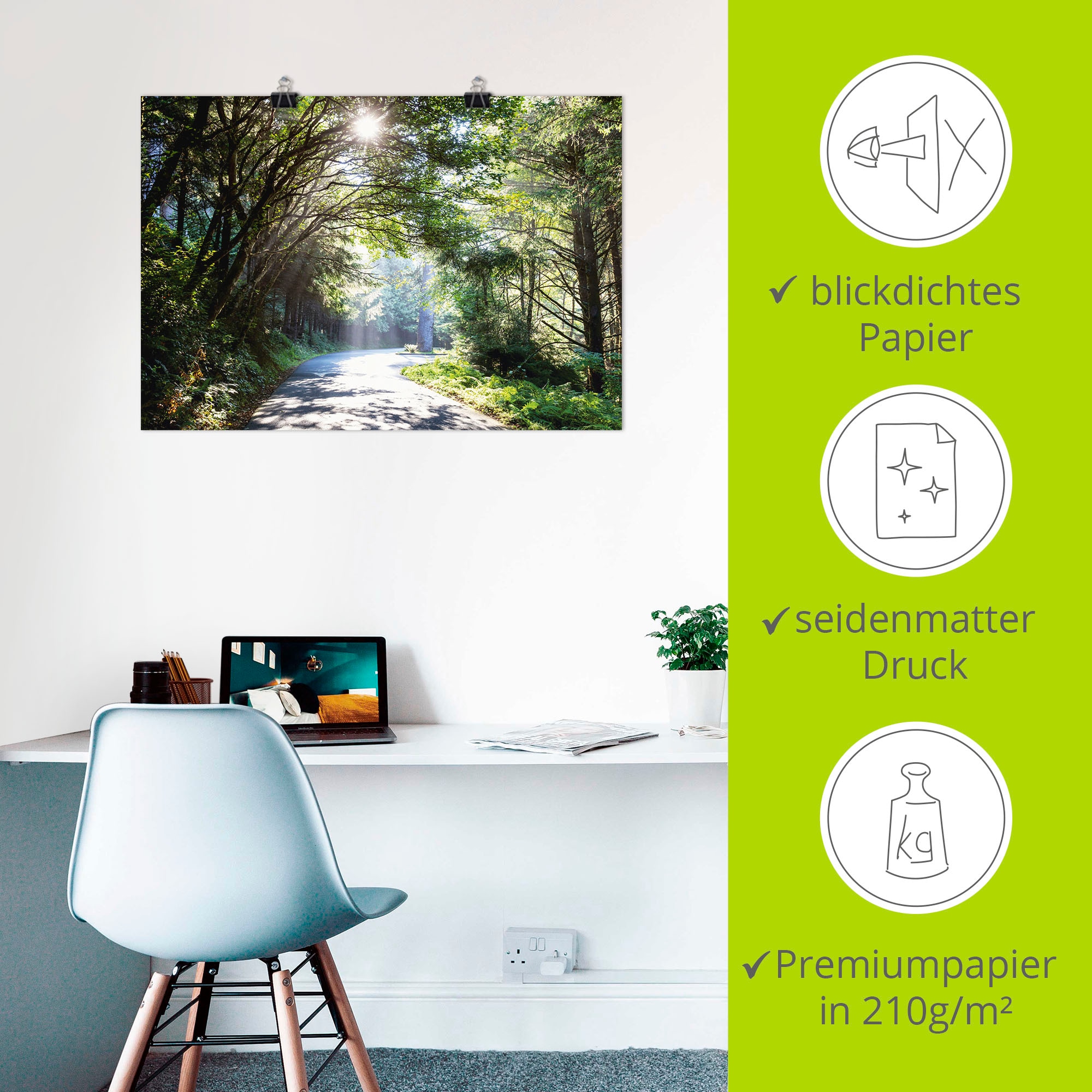 Artland Poster »Sonniger Wald« Baumbilder 1 Stk. tlg. ohne Rahmen