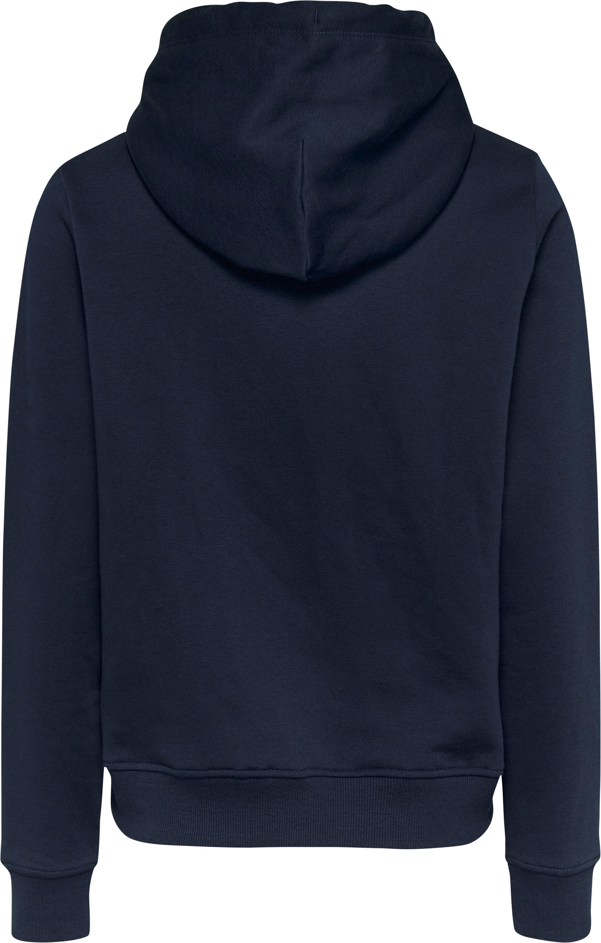 Tommy Jeans Kapuzensweatshirt »TJW REG LINEAR HOODIE«, mit Logoschriftzug