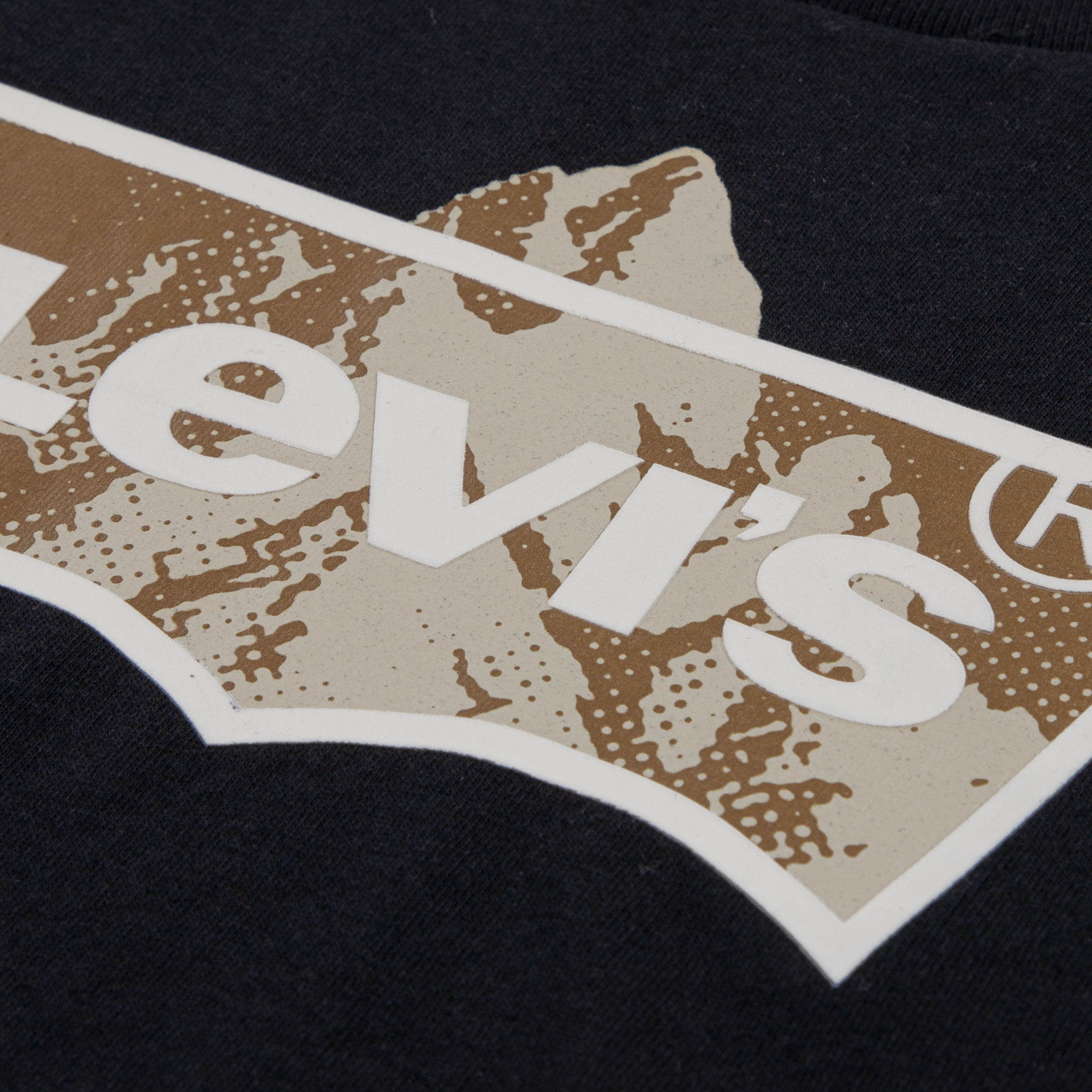 Levi's® Kids T-Shirt »LVB TALLEST PEAK BATWING TEE« mit Batwing-Print - for Boys