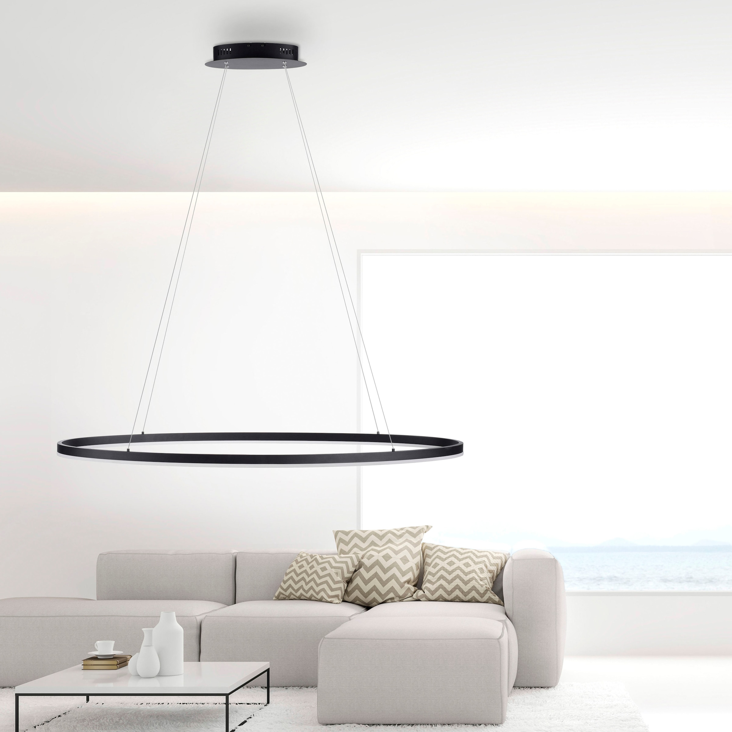 Paul Neuhaus Pendelleuchte »TITUS«, 1 flammig, Leuchtmittel LED-Board | LED fest integriert, LED, Simply Dim