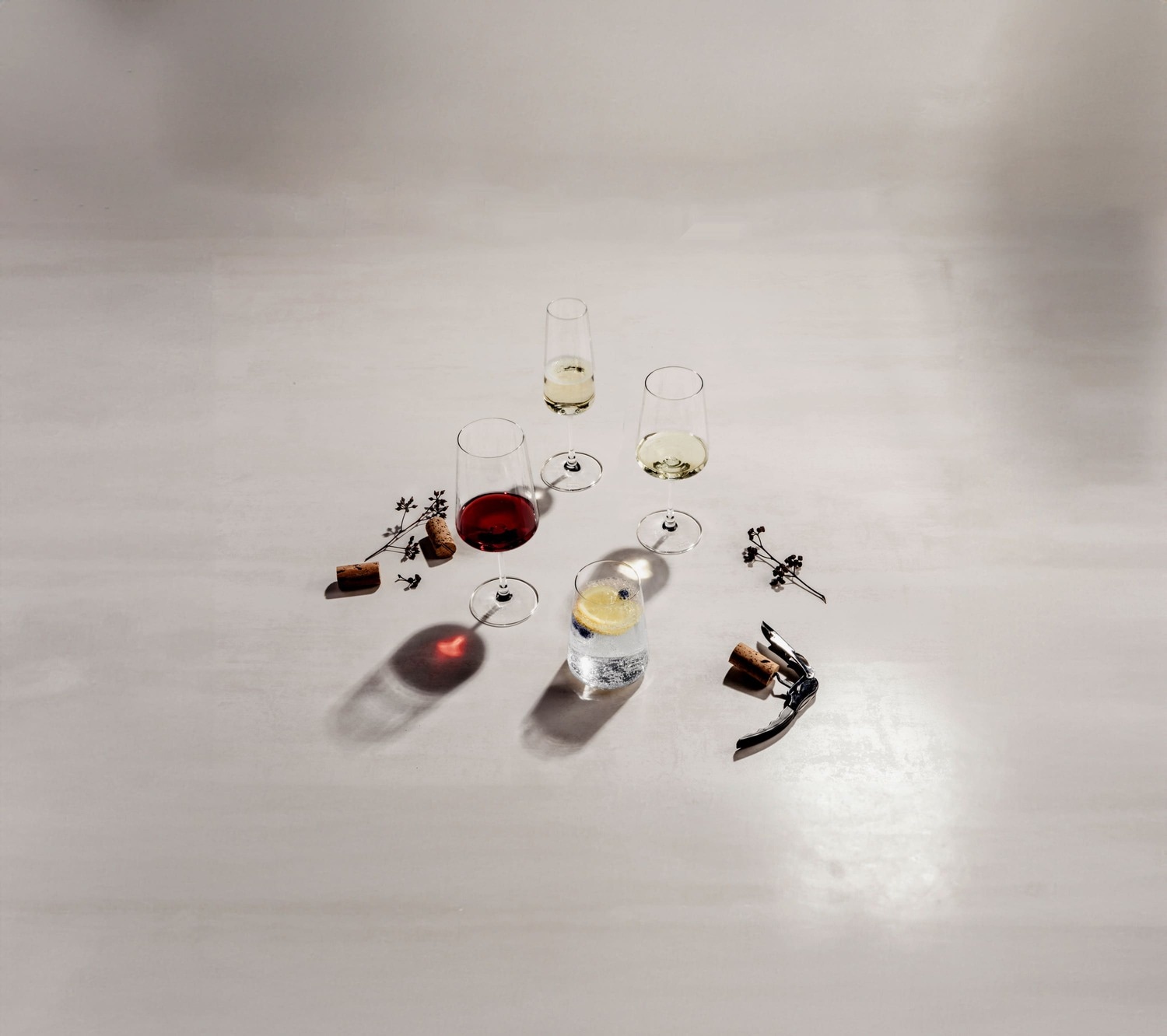 SCHOTT-ZWIESEL Weißweinglas »Weißweingläser MioVino 380 ml 4er Set transparent« Spülmaschinengeeignet