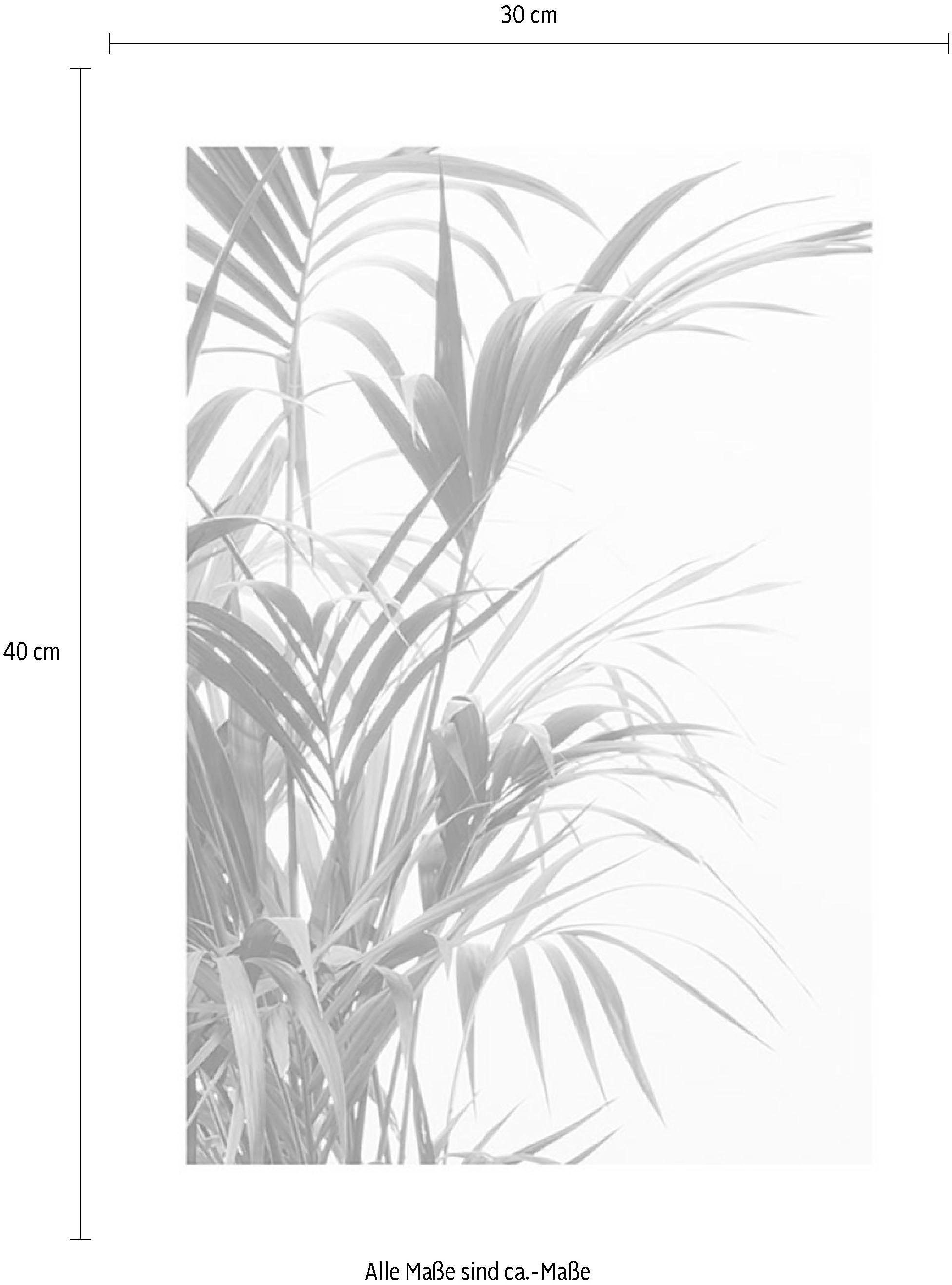 Komar Bild »Reed Leaves« Blätter | Pflanzen 1 Stk. tlg. Wandbild zur Dekoration - ohne Rahmen