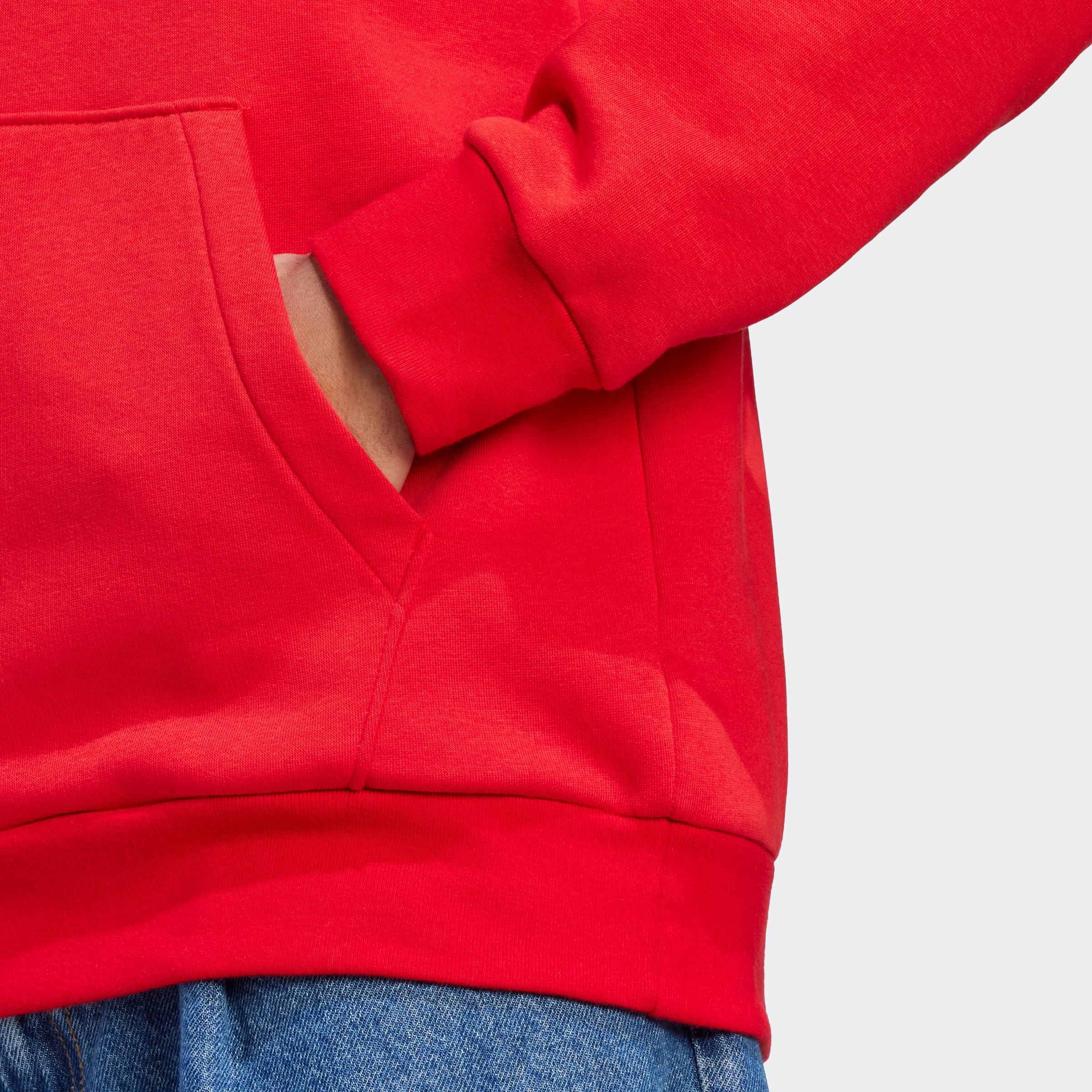 adidas Sportswear Kapuzensweatshirt »ESSENTIALS BIG LOGO HOODIE«