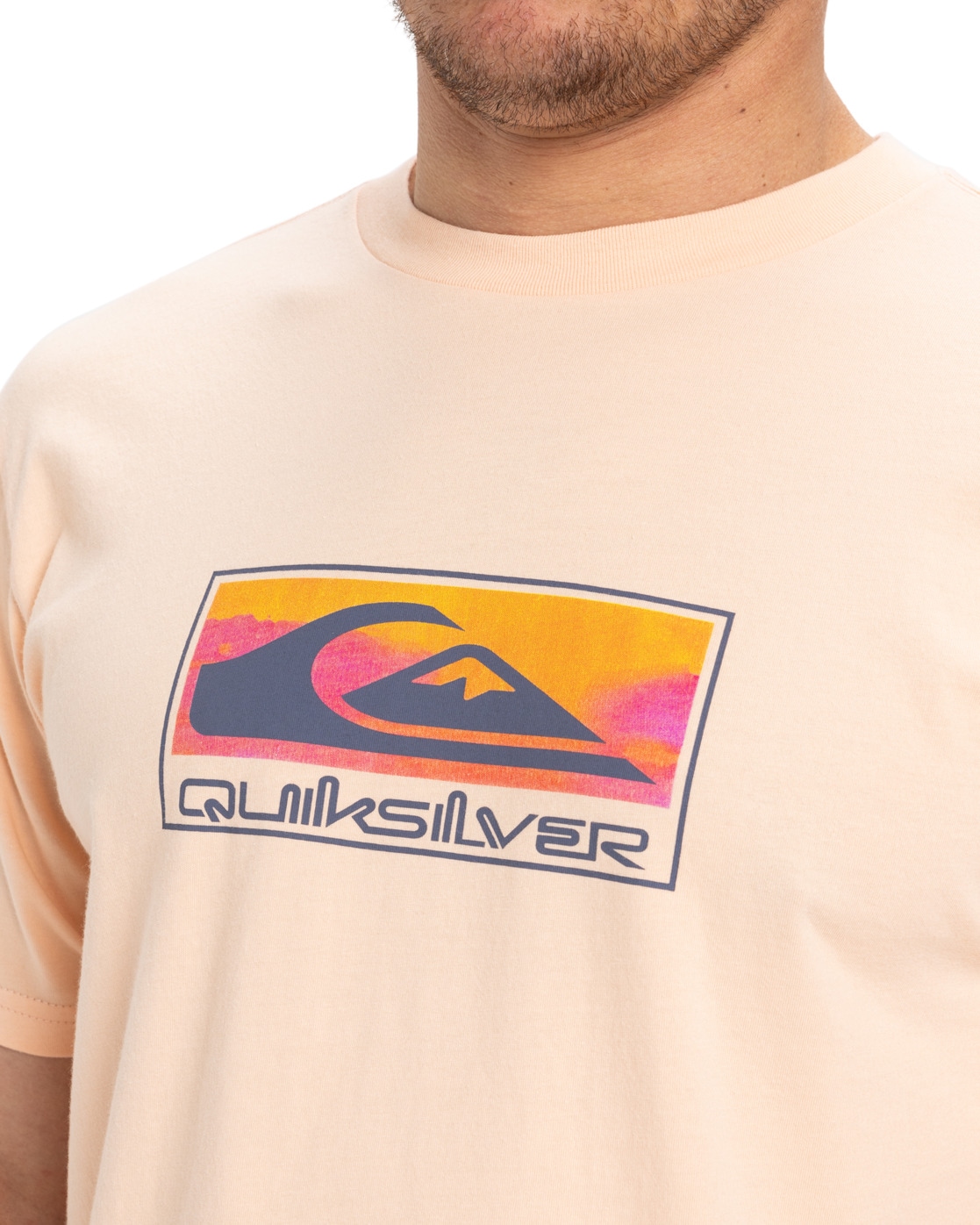 Quiksilver T-Shirt »Ev Gradient Box«