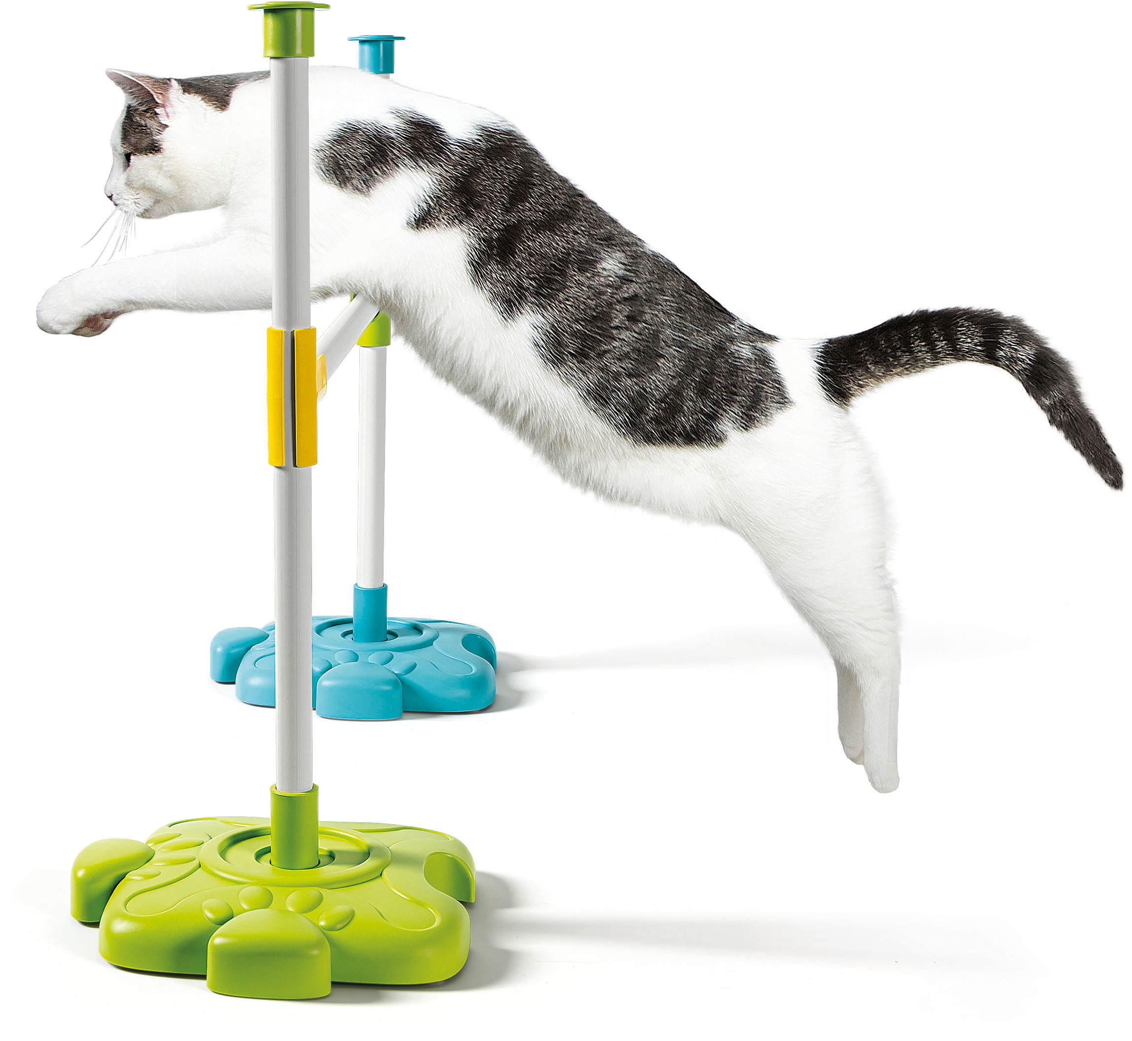 Clementoni® Experimentierkasten »Galileo, Dein Haustier Aktivitäts-Set«, Made in Europe