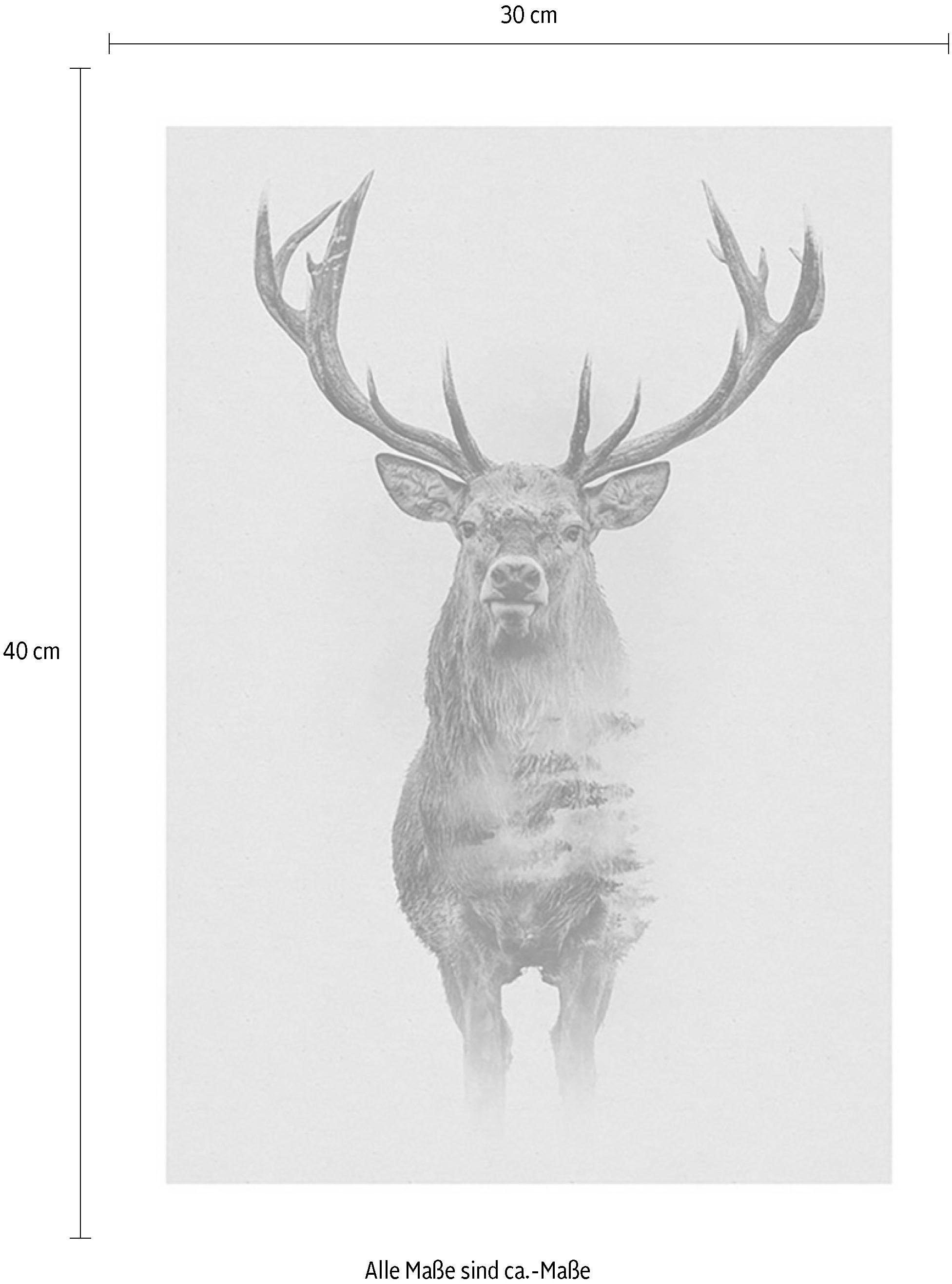 Komar Bild »Animals Forest Deer« Tiere 1 Stk. tlg. Wandbild zur Dekoration - ohne Rahmen