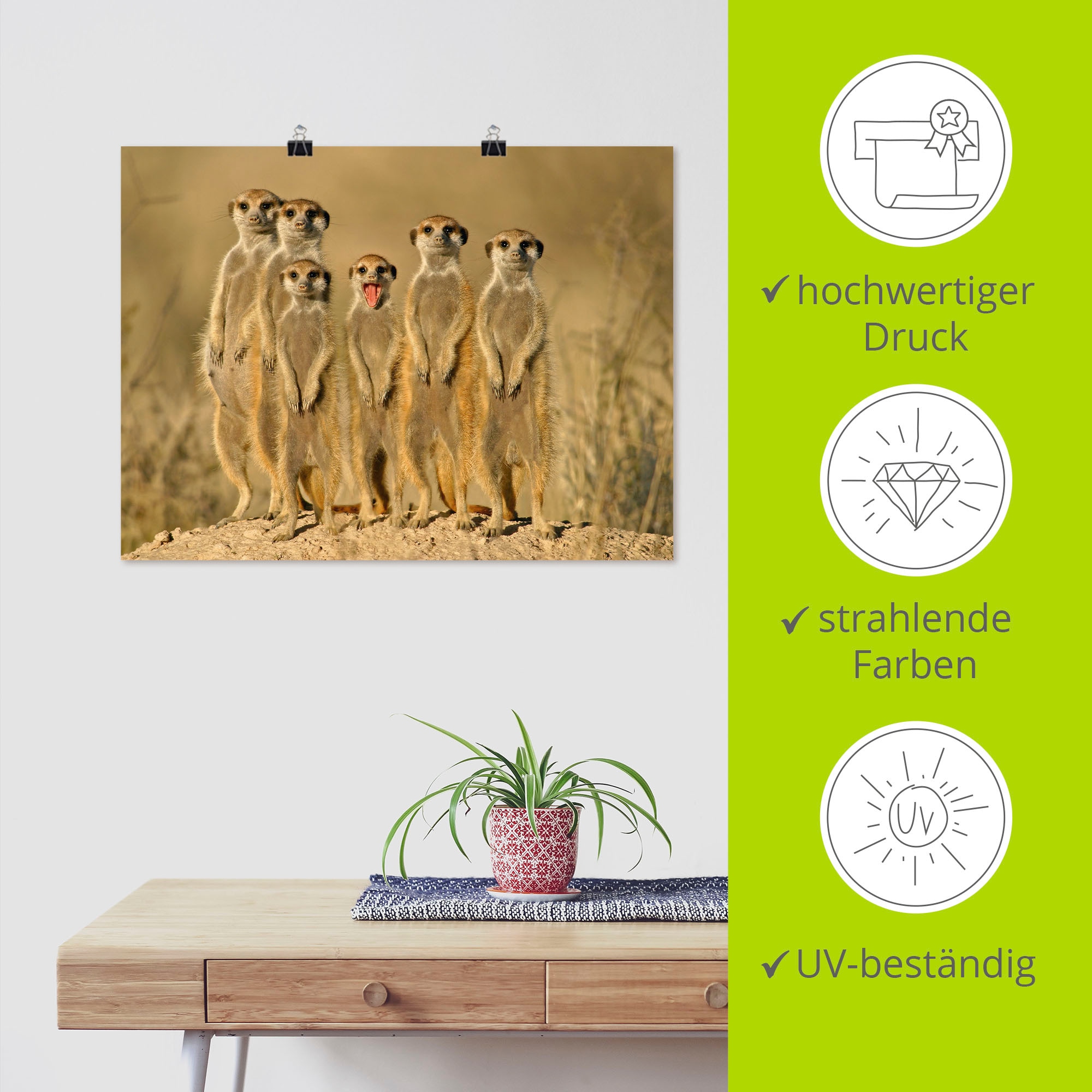 Artland Poster »Erdmännchen Familie« Wildtiere 1 Stk. tlg. als Poster in verschied. Größen