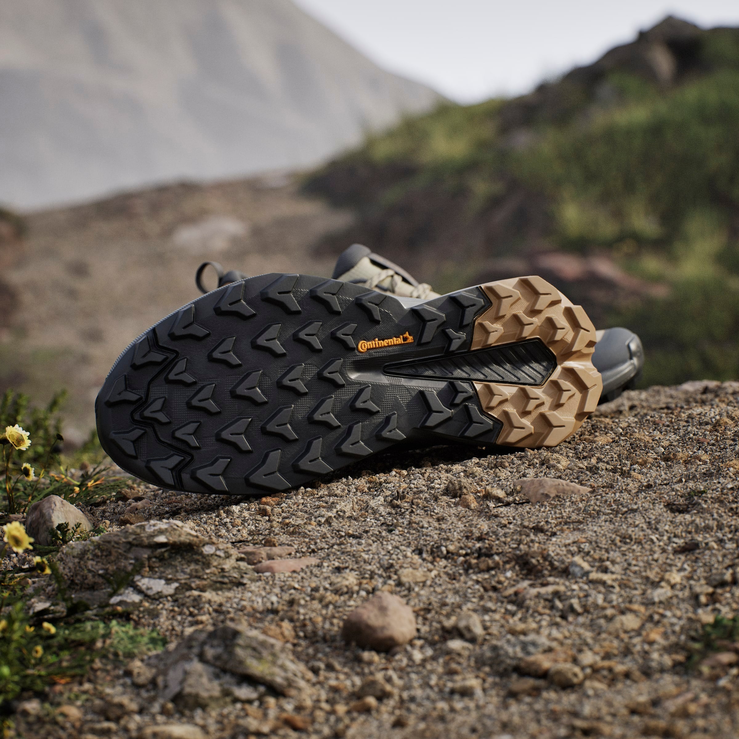 adidas TERREX Wanderschuh »TRAILMAKER 2«