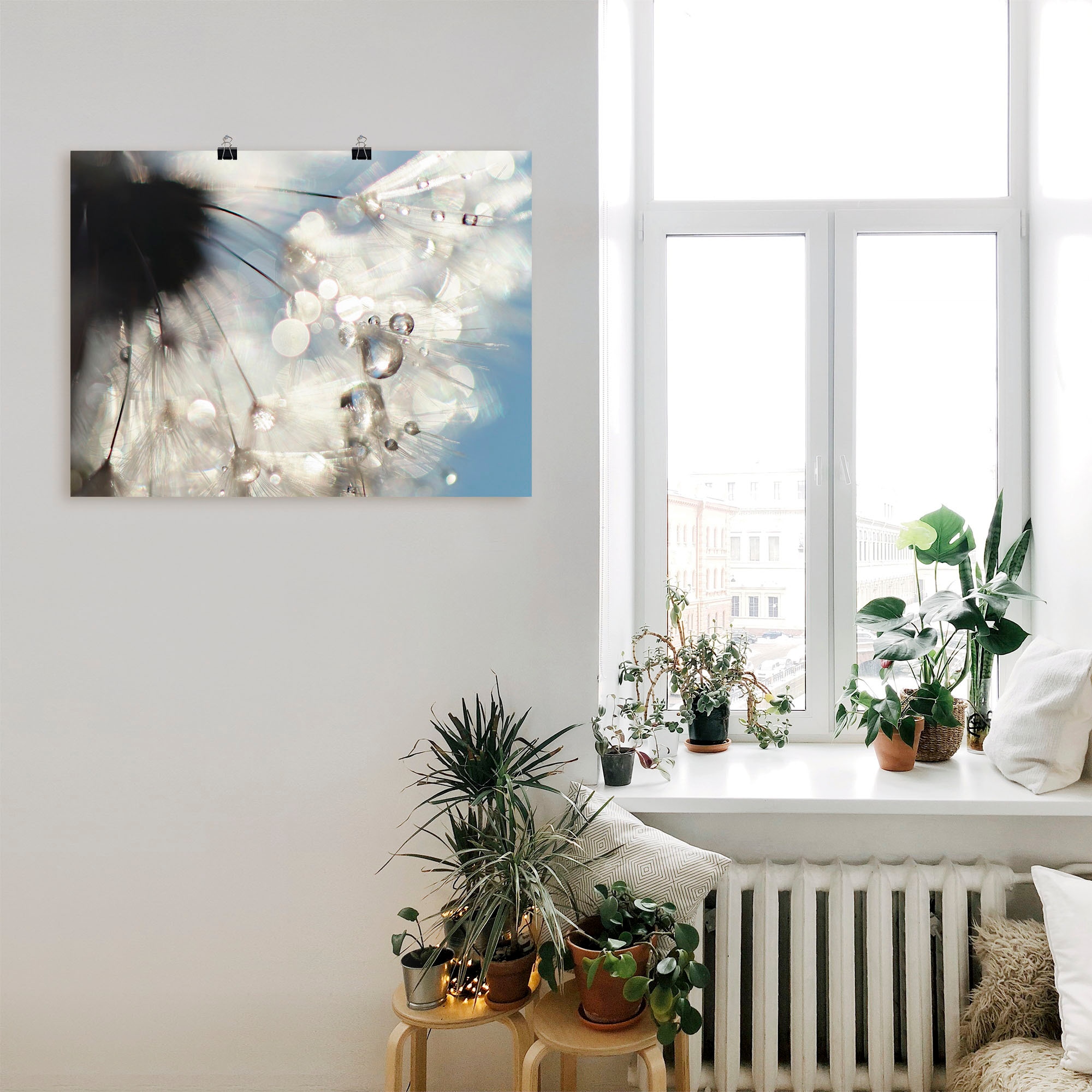Artland Poster »Pusteblume Engelflügel«, Blumen, (1 St.), als Alubild, Leinwandbild, Wandaufkleber oder Poster in versch. Größen