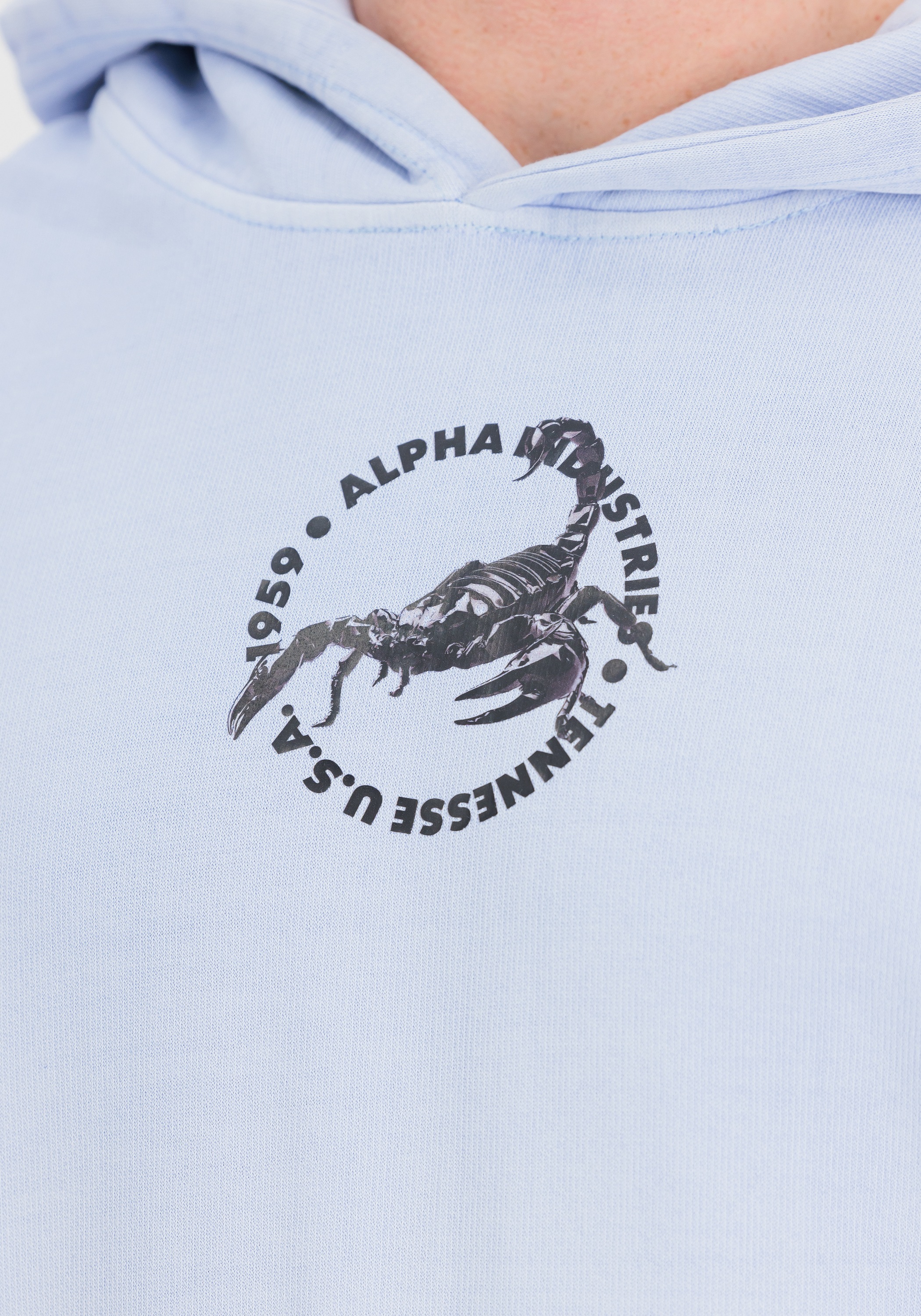 Alpha Industries Kapuzensweatshirt »US Scorpion Backprint Hoodie«

