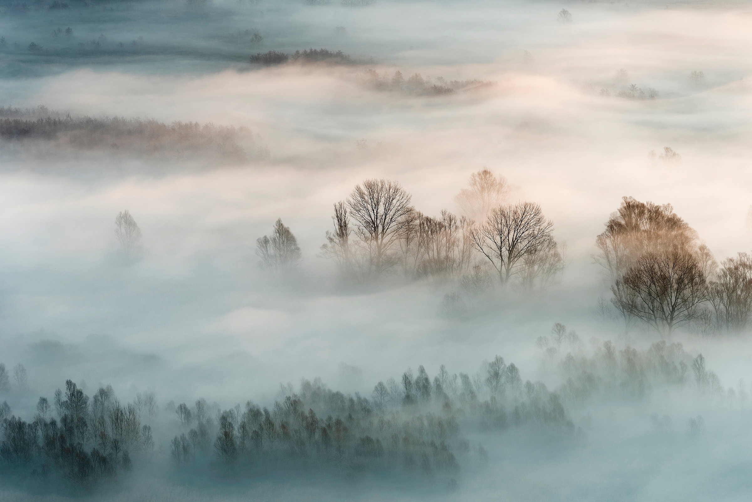 Fototapete »Photo-Art MARCO GALIMBERTI, WINTERNEBEL«