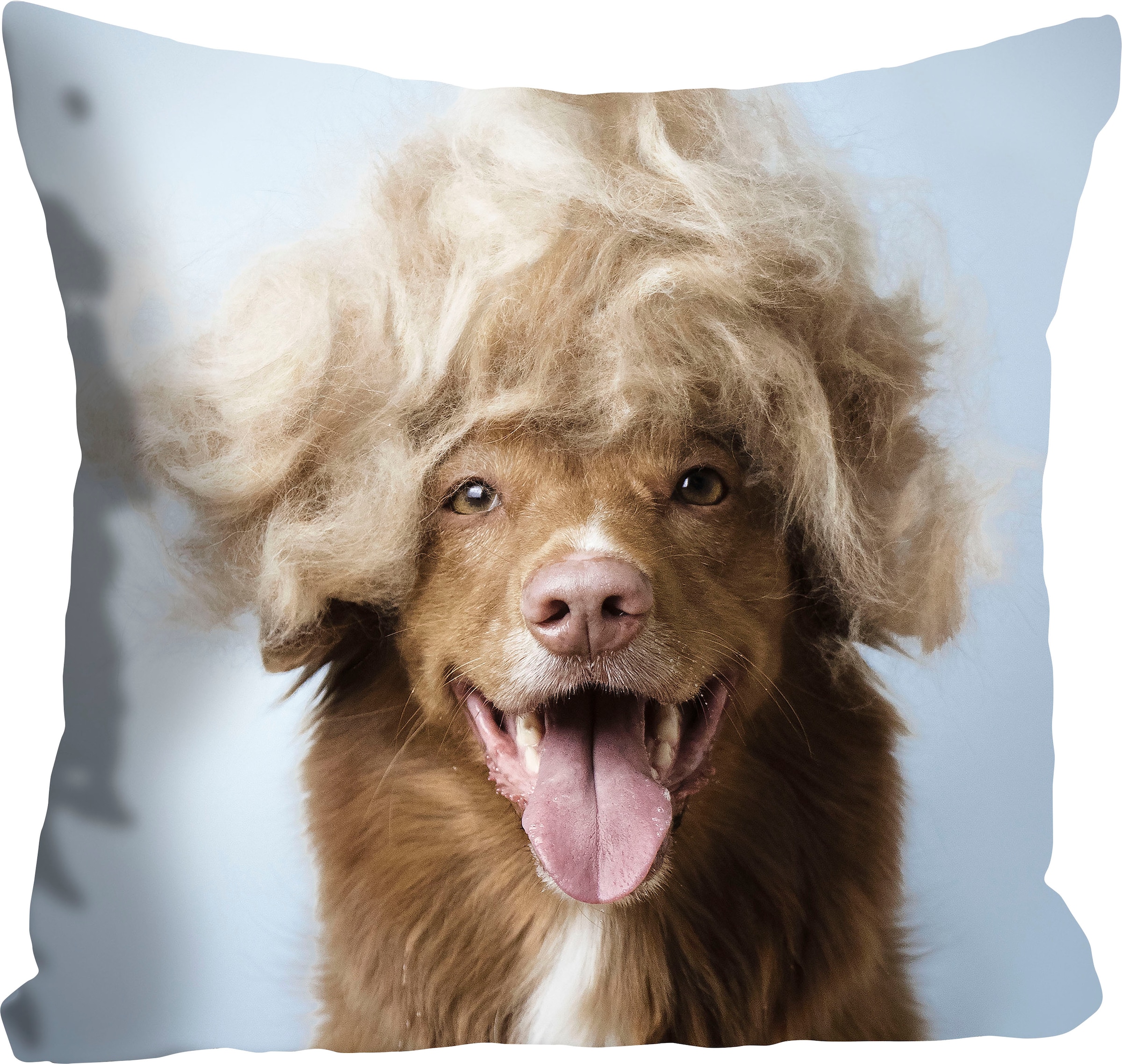 queence Dekokissen »Perry«, Hund mit Füllung, Stück einer 1 Kissenhülle online ohne blonden Perücke, kaufen
