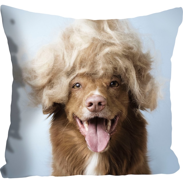 queence Dekokissen »Perry«, Hund mit einer blonden Perücke, Kissenhülle  ohne Füllung, 1 Stück online kaufen