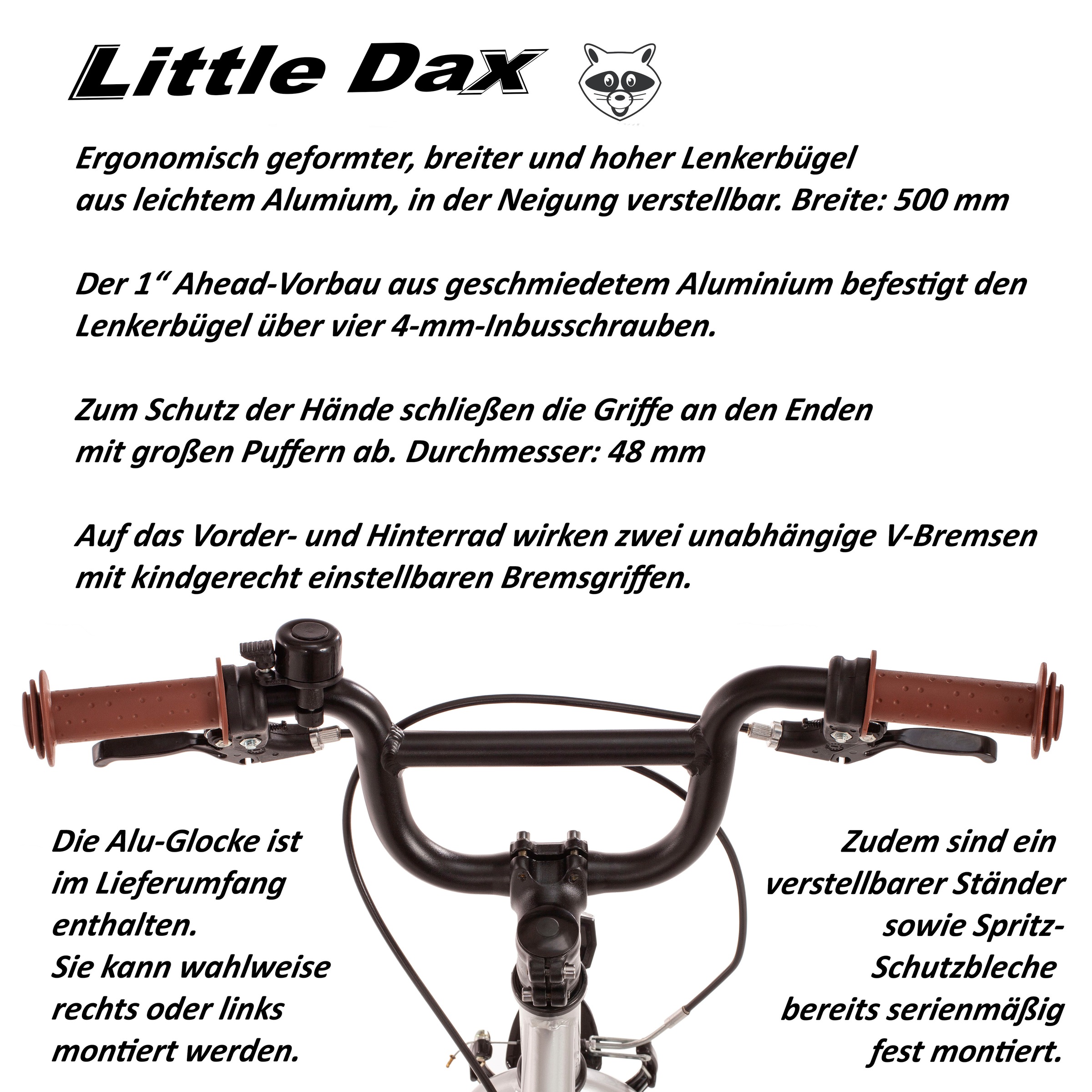 Bachtenkirch Kinderfahrrad »18" Little-Dax "AERON", silberfarben« 1 Gang ohne Schaltung