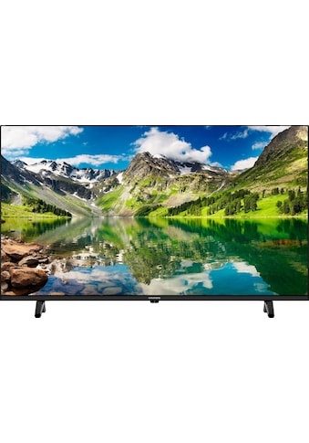 Grundig LED-Fernseher »40 VLE 5020 TJQ000«, 100 cm/40 Zoll, Full HD kaufen