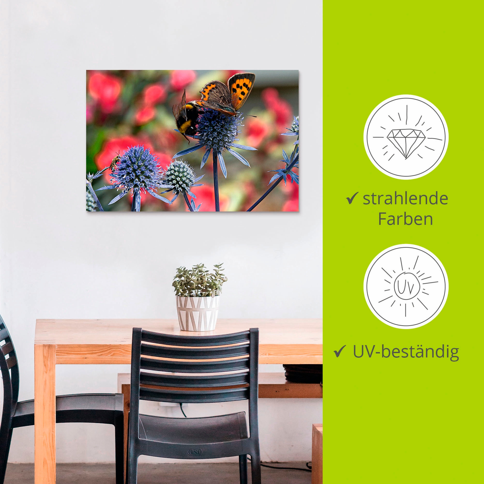 Artland Wandbild »Kleiner Feuerfalter und Hummel«, Insekten, (1 St.), als Alubild, Outdoorbild, Leinwandbild, Wandaufkleber, versch. Größen