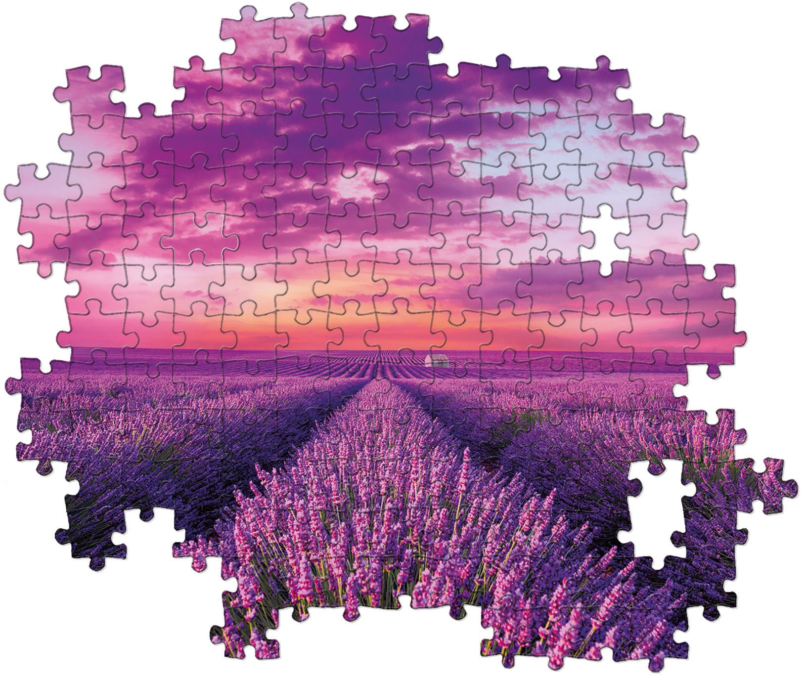 Clementoni® Puzzle »High Quality Collection, Lavendel-Feld«, Made in Europe, FSC® - schützt Wald - weltweit