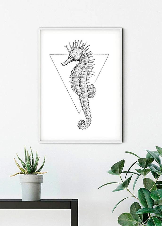 Komar Bild »Sea Horse White« Tiere 1 Stk. tlg. Wandbild zur Dekoration - ohne Rahmen