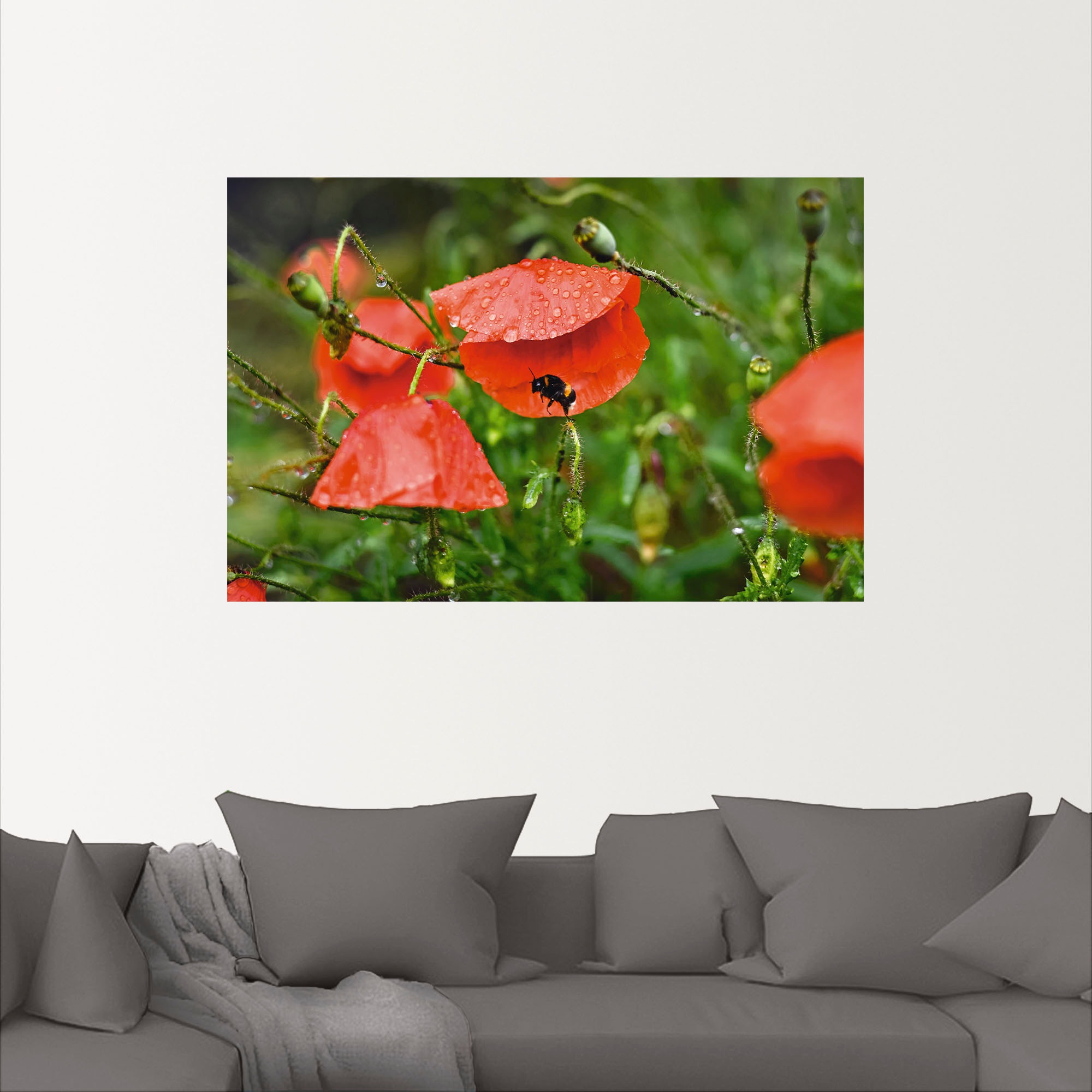 Artland Wandbild »Hummel sucht Schutz vor Regen«, Blumenbilder, (1 St.), als Alubild, Leinwandbild, Wandaufkleber oder Poster in versch. Größen