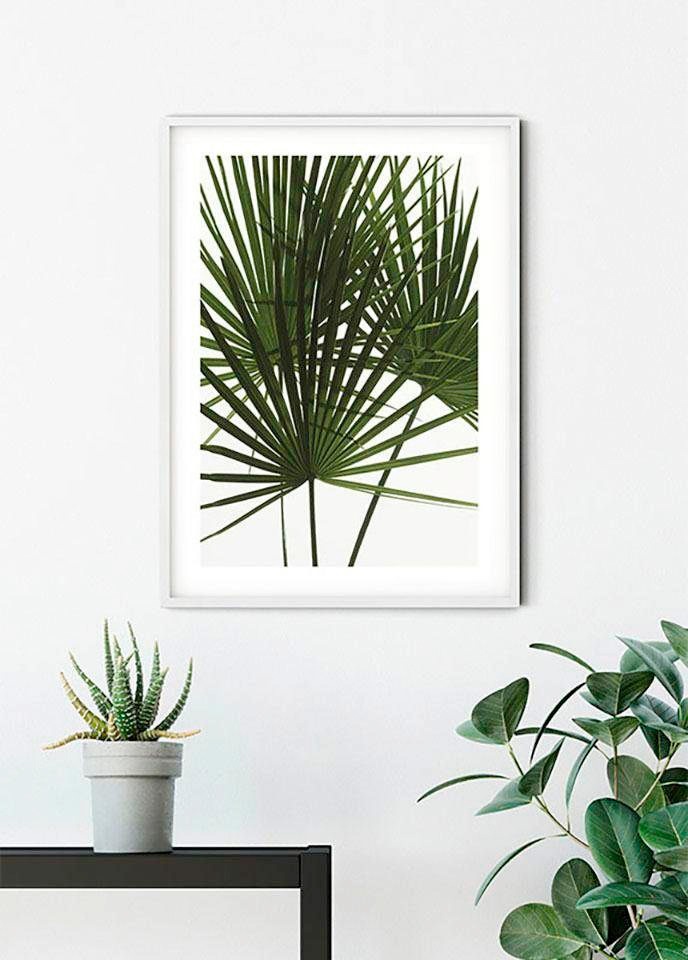 Komar Bild »Palmtree Leaves«, Pflanzen, (1 St.), Wandbild zur Dekoration - ohne Rahmen
