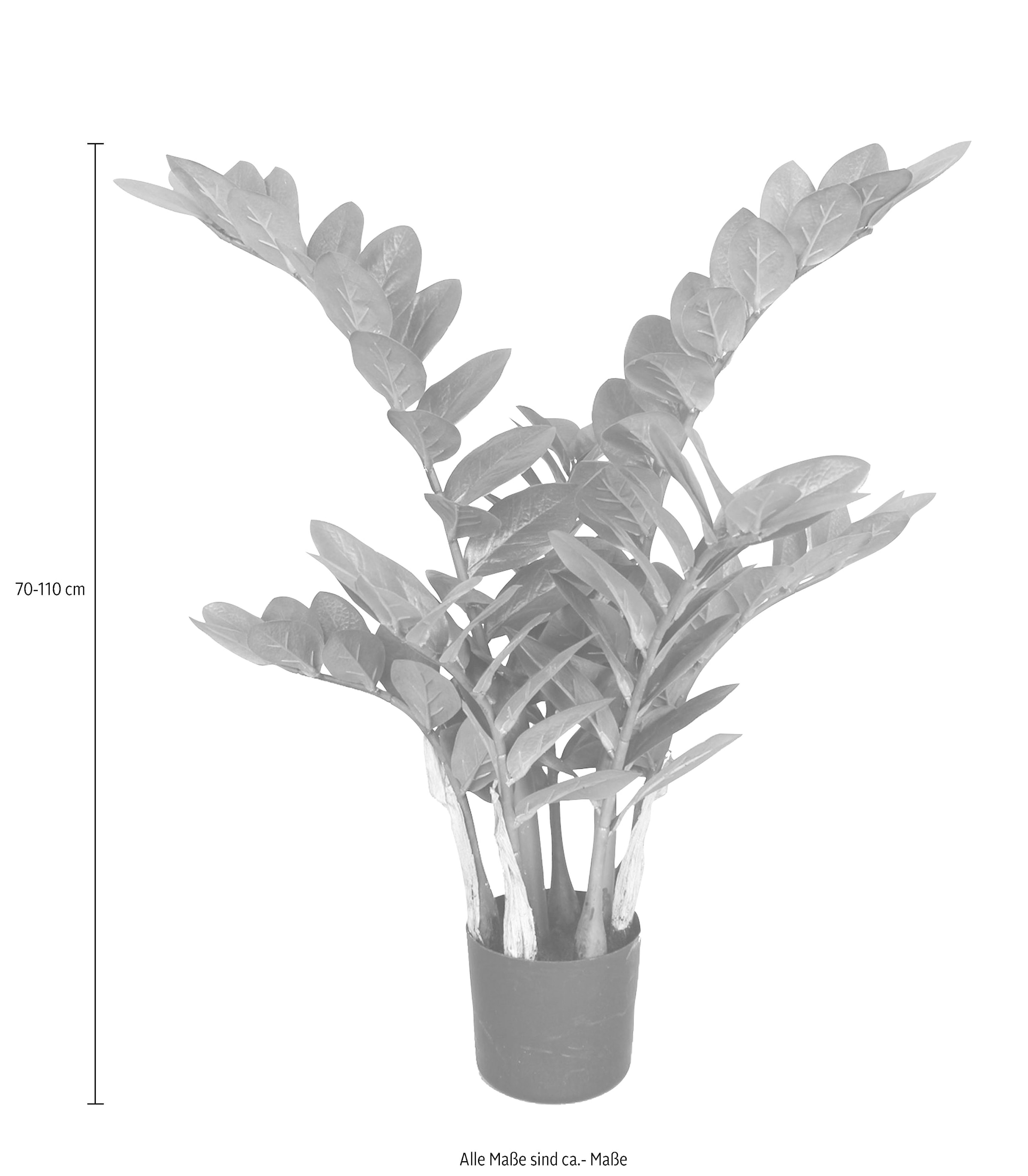 3 | kaufen Jahren Garantie Creativ green »Zamifolia« mit Kunstpflanze online XXL