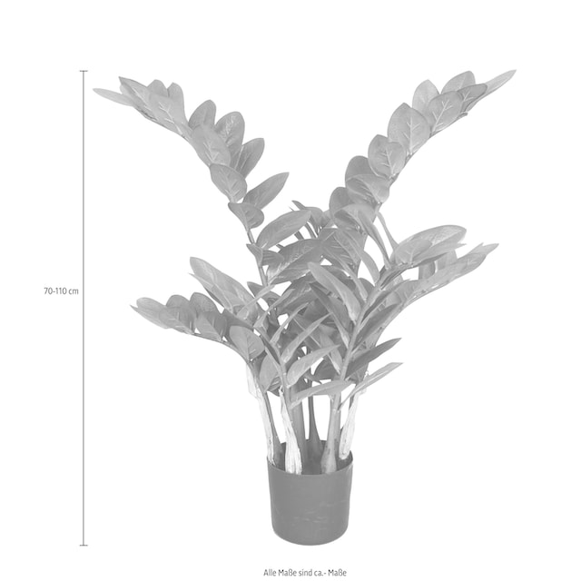 Creativ green Kunstpflanze »Zamifolia« online kaufen | mit 3 Jahren XXL  Garantie