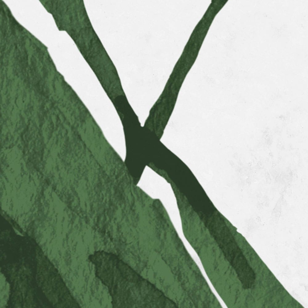 Komar Fototapete »Digitaldruck Vlies - Botanic Harmony - Größe 500 x 250 cm«, bedruckt, Wohnzimmer, Schlafzimmer