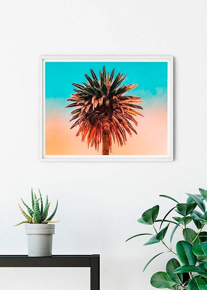 Komar Bild »Palm Tree« Blätter | Pflanzen 1 Stk. tlg. Wandbild zur Dekoration - ohne Rahmen