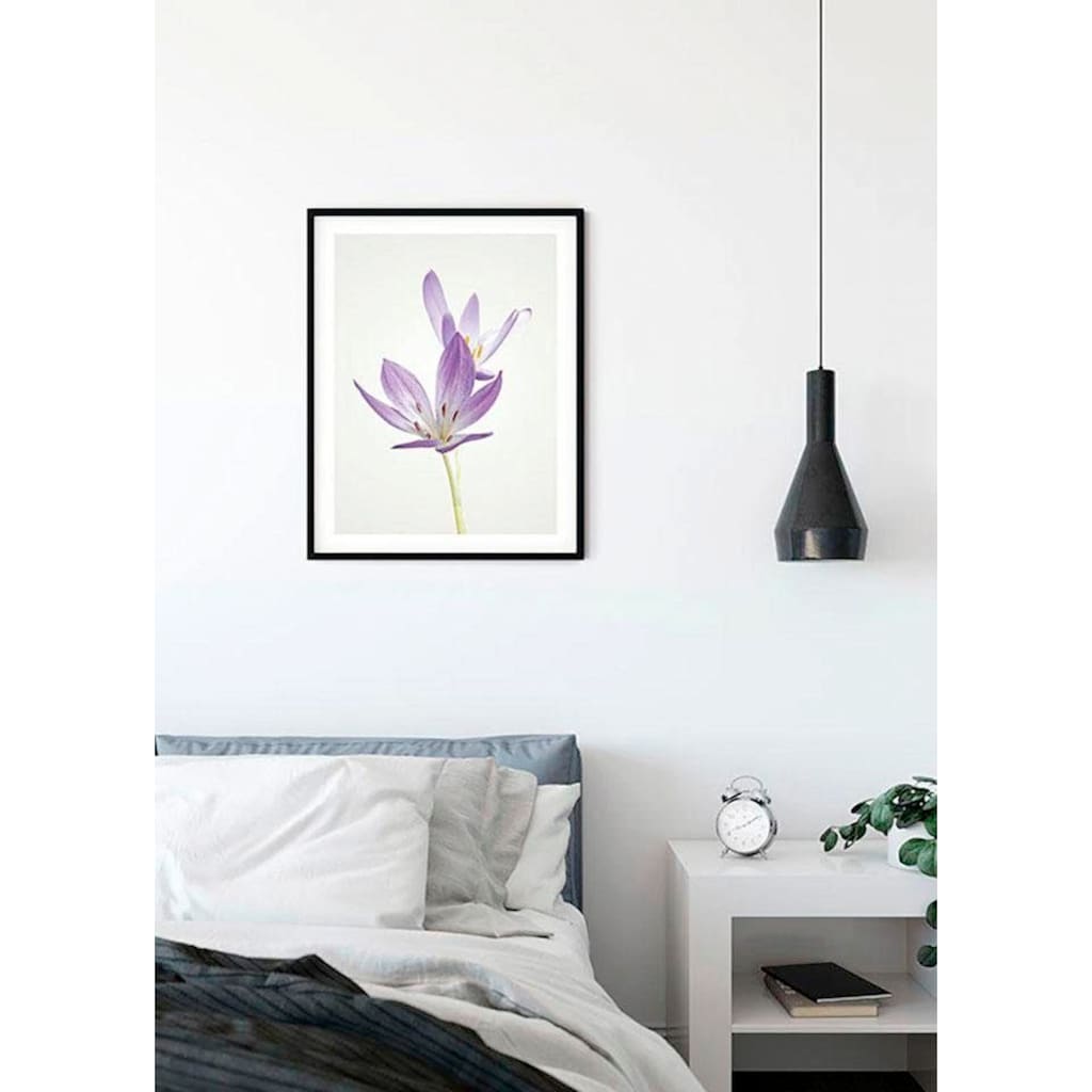 Komar Poster »Autumn Crocus«, Blumen, (1 St.), Kinderzimmer, Schlafzimmer, Wohnzimmer