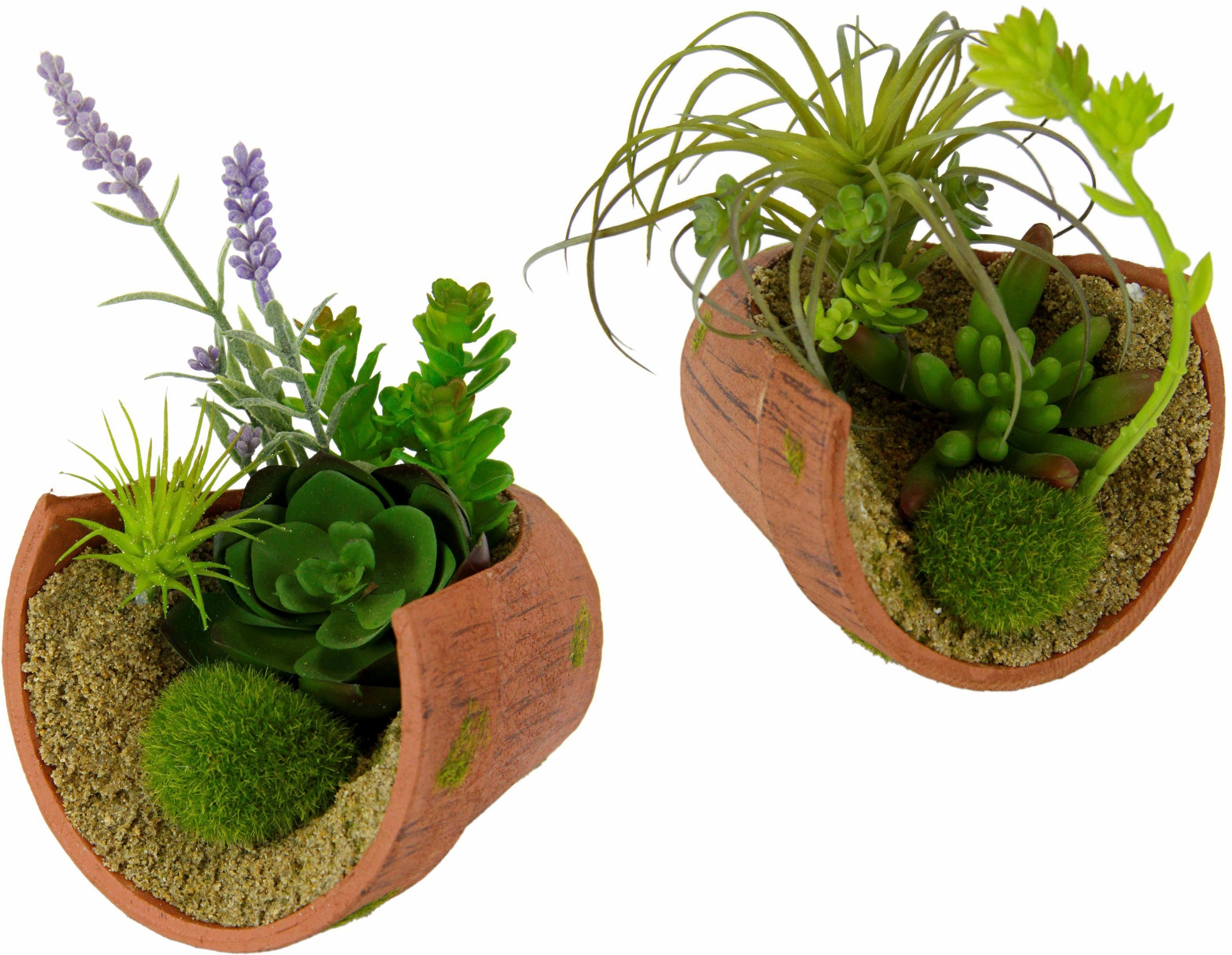 »Succulente« 3 kaufen Kunstpflanze mit online Garantie I.GE.A. XXL | Jahren
