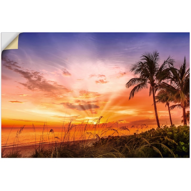 Artland Wandbild »BONITA BEACH Malerischer Sonnenuntergang«, (1 St.), in  vielen Größen & Produktarten - Alubild/-Outdoorbild für den Außenbereich,  Leinwandbild, Poster, Wandaufkleber/Wandtattoo auch für Badezimmer geeignet  bequem kaufen