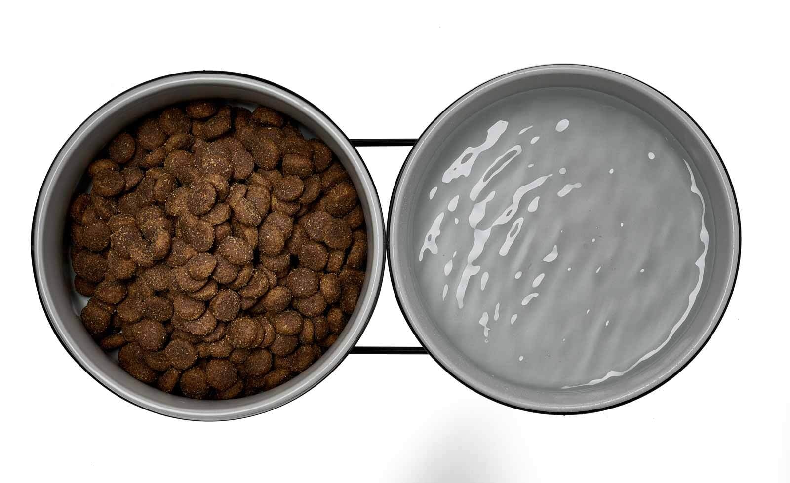 Ritzenhoff & Breker Futternapf »Hunde-Napfset mit Unterlage Taro ø 17 cm 2er Set grau« Spülmaschinengeeignet