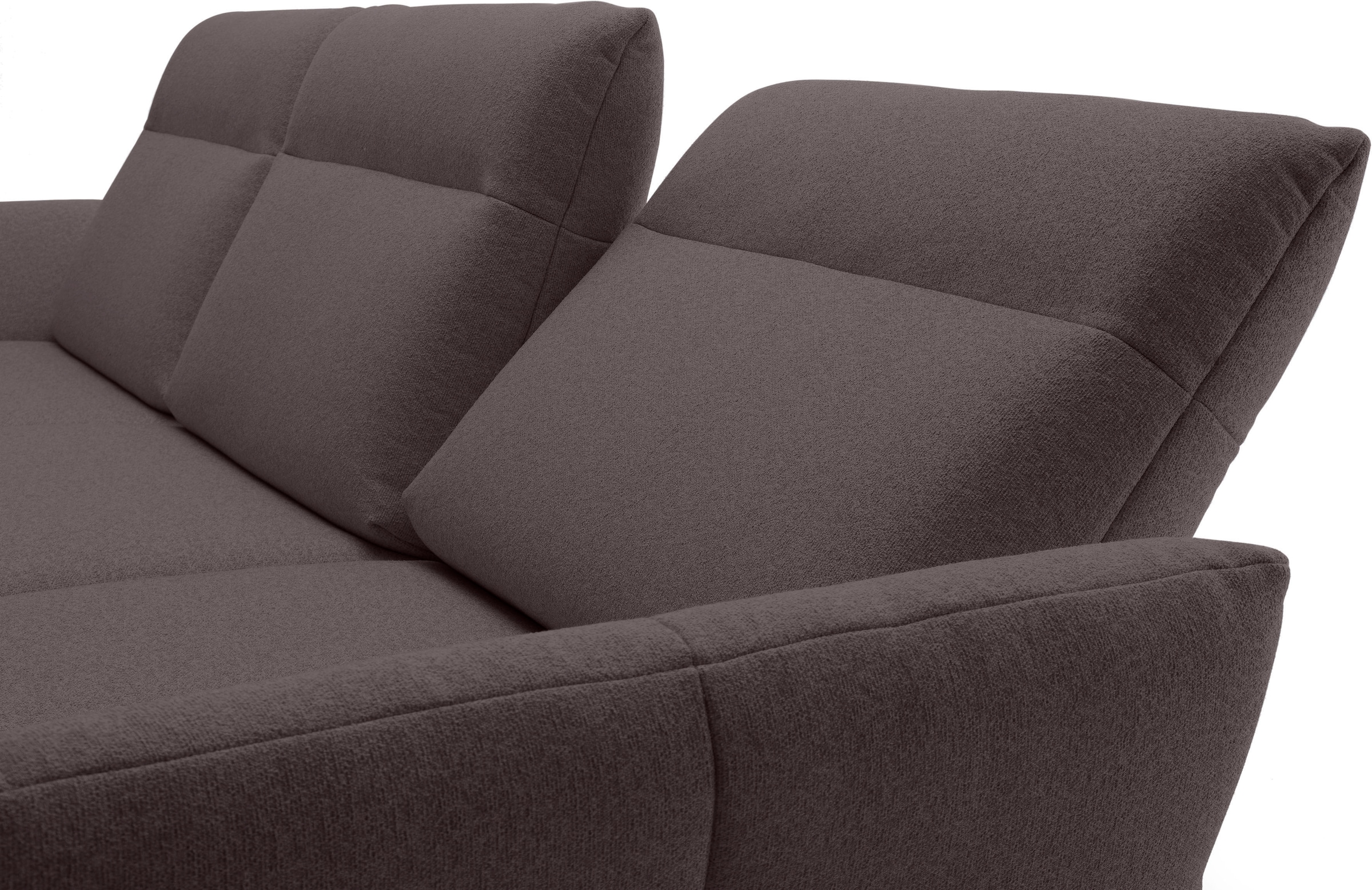 Creation BY ROLF BENZ Ecksofa »CR.460«, Sockel in Eiche, Alugussfüße in umbragrau, Breite 298 cm