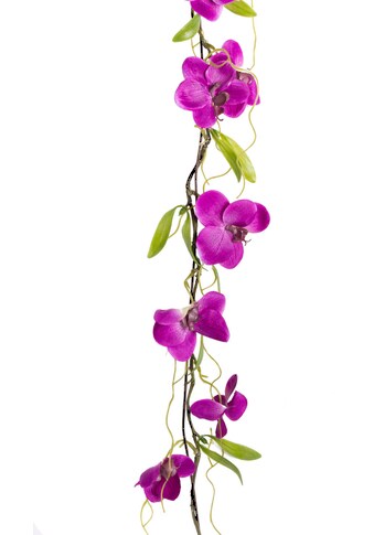 Botanic-Haus Kunstranke »Orchideengirlande«, (1 St.) kaufen