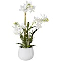 Creativ green Kunstpflanze, (1 St.), Japanorchidee im Keramiktopf, Real Touch