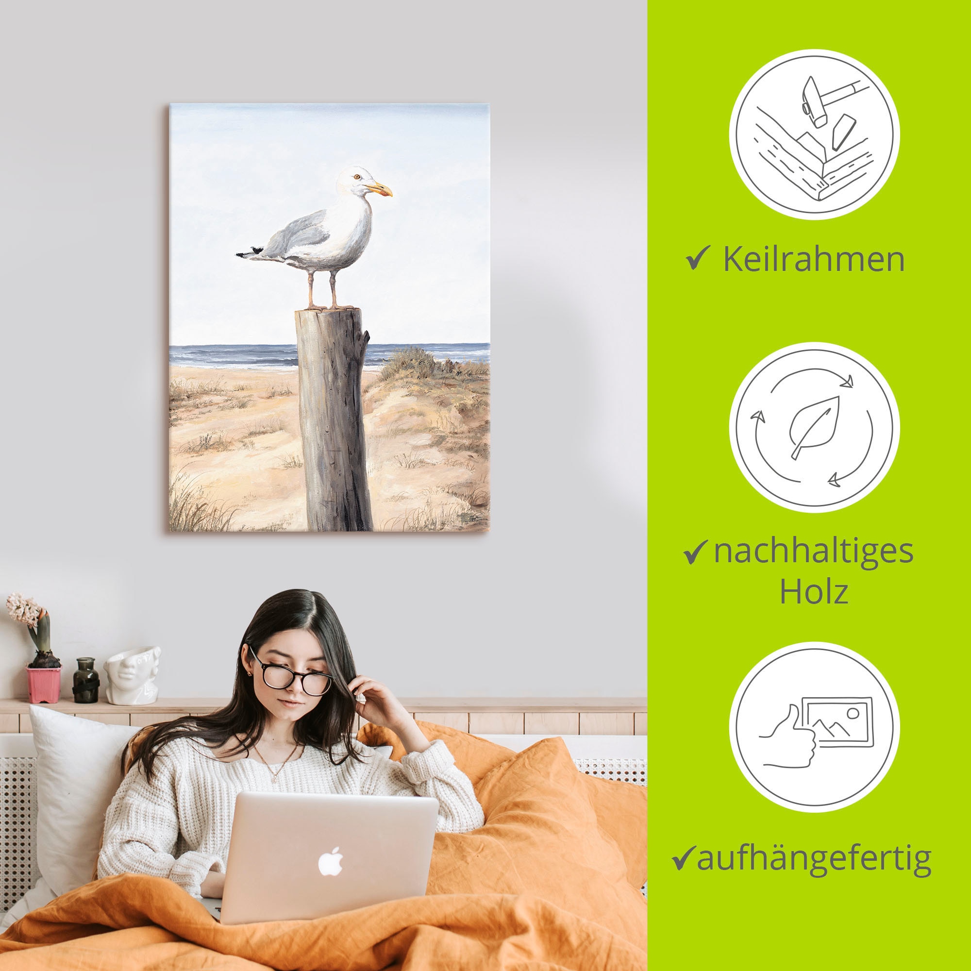Artland Wandbild »Möwe«, Vögel, (1 St.), als Alubild, Outdoorbild, Leinwandbild, Poster, Wandaufkleber