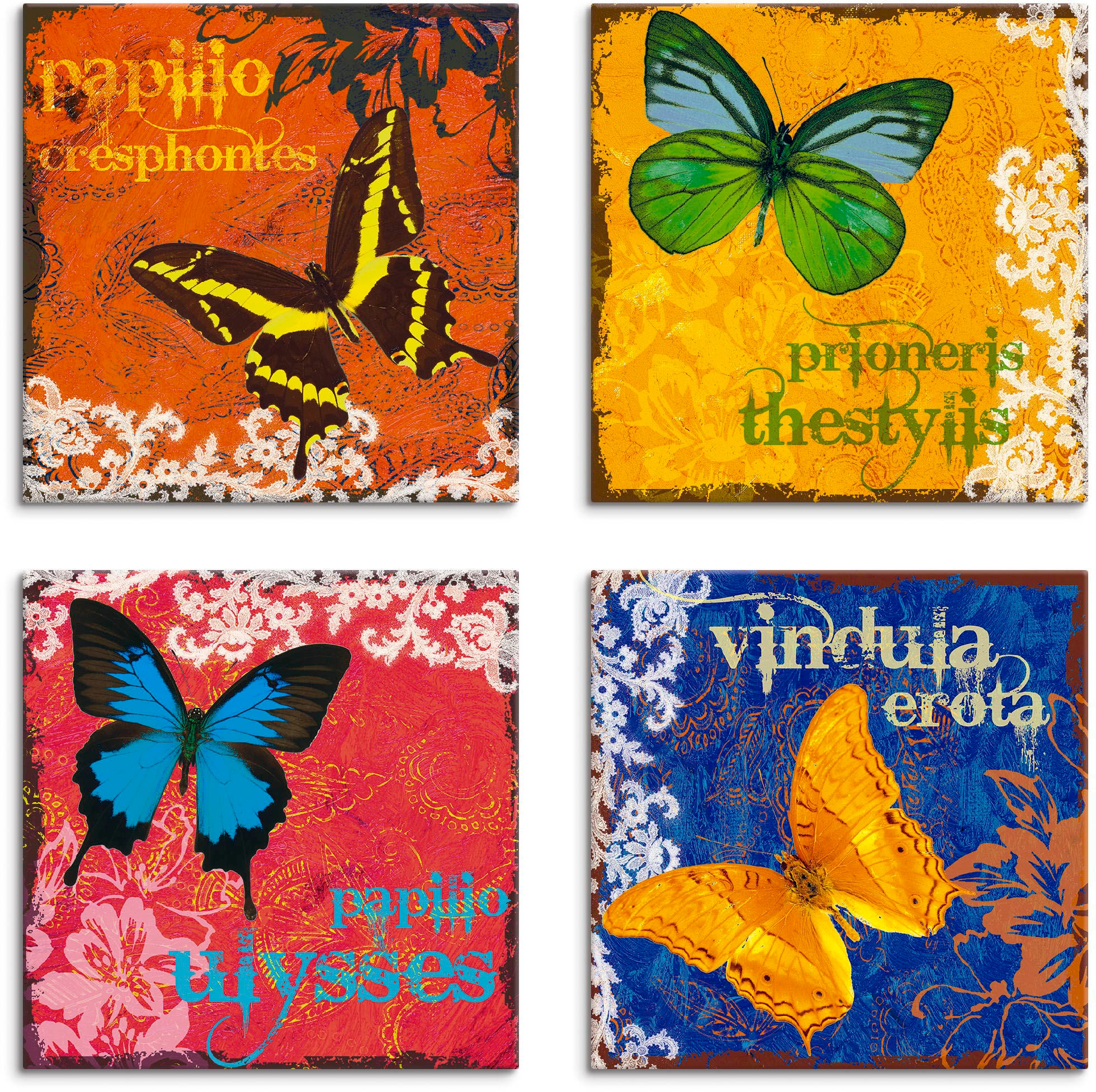 Artland Leinwandbild »Schmetterlinge Bunt«, Insekten, (4 St.), 4er Set, verschiedene  Größen auf Rechnung kaufen | Leinwandbilder